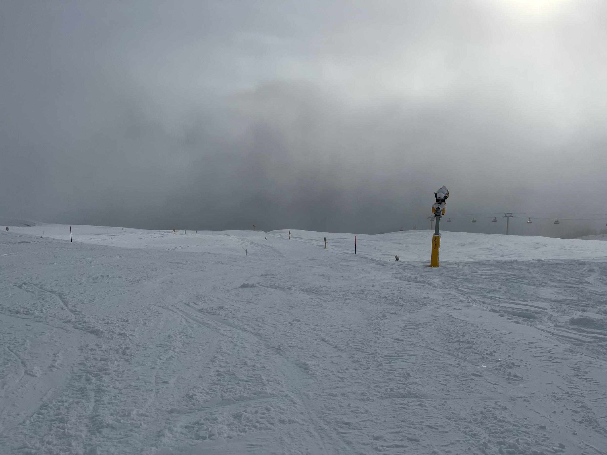 88C0854D-4190-4E0A-A238-03370C132045.jpeg
