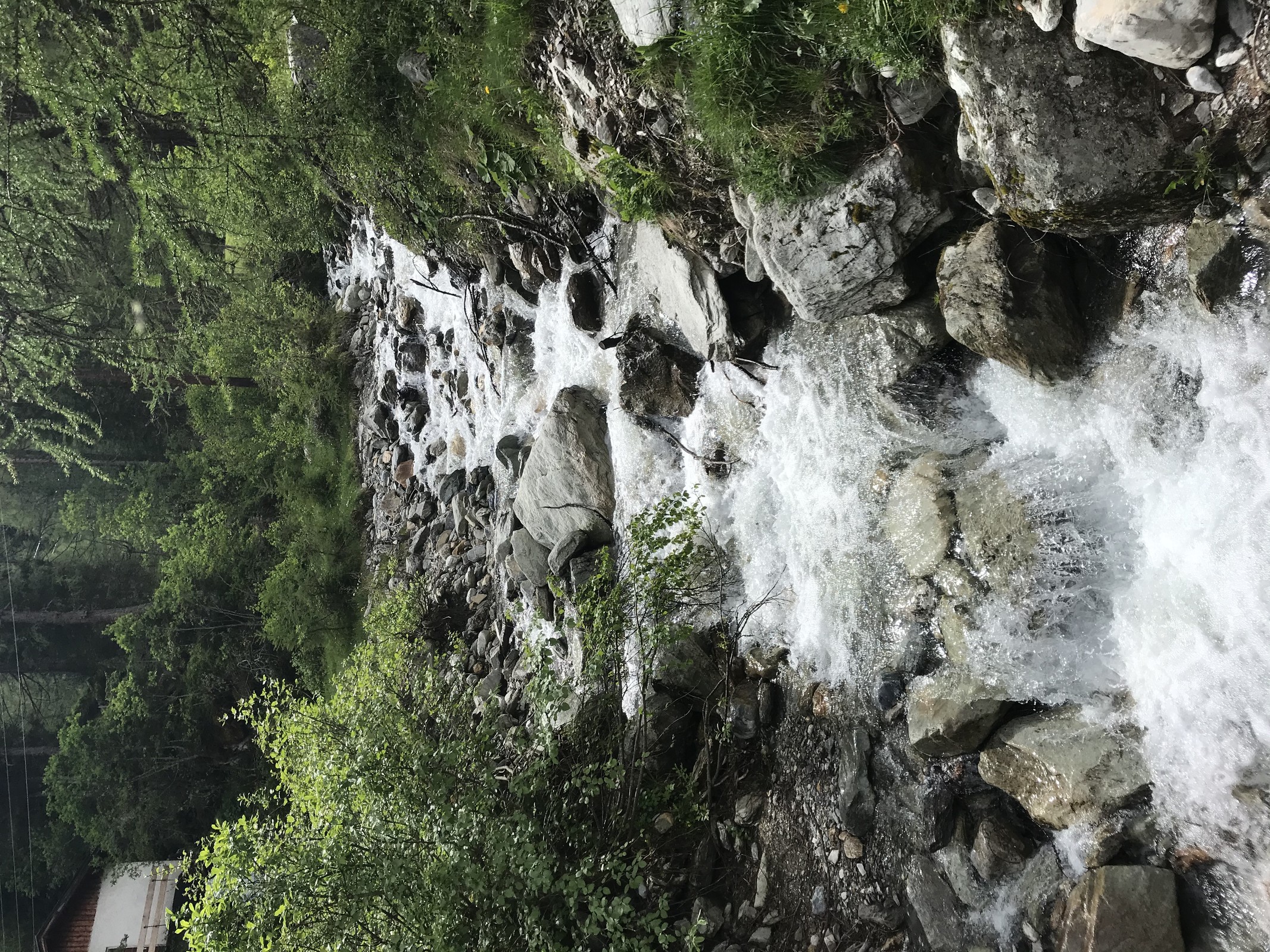8B091420-99C4-4CA8-B2F7-D79E97D17D21.jpeg