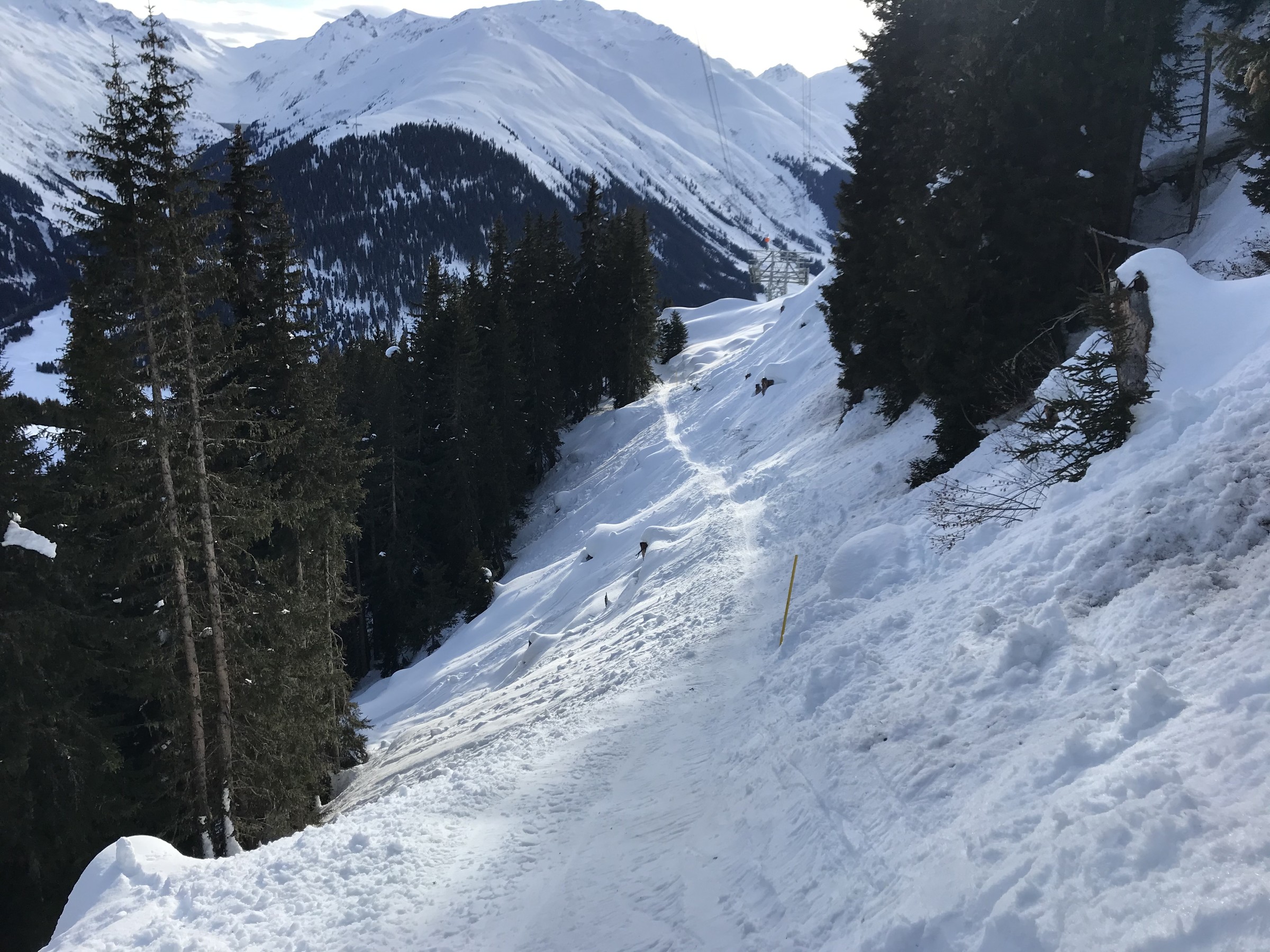 8D07409B-9719-4289-8FF0-BC11062D7F23.jpeg
