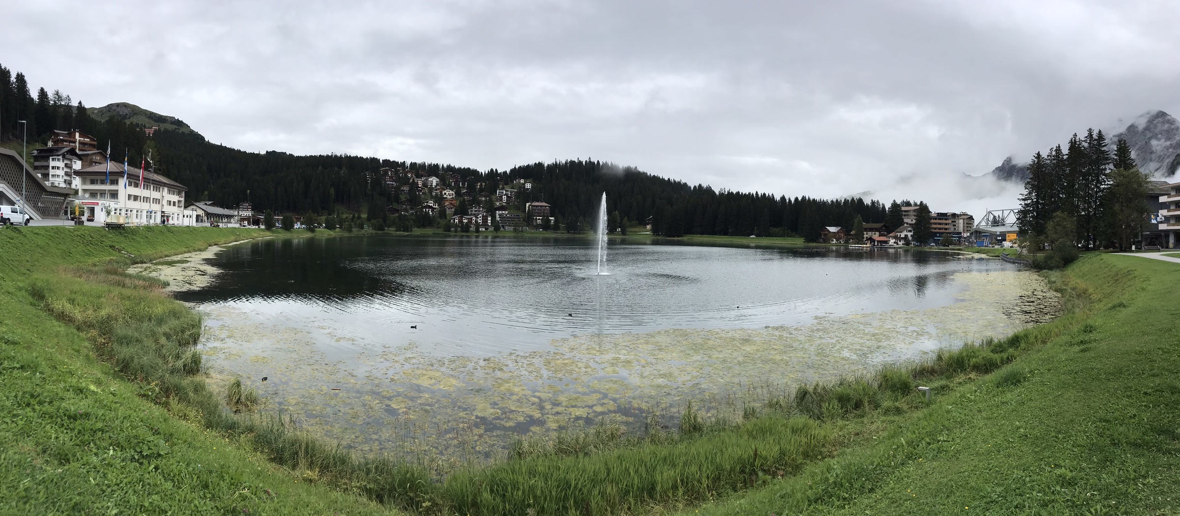 92911FE6-D314-40DE-9666-DD96CA343B67.jpeg