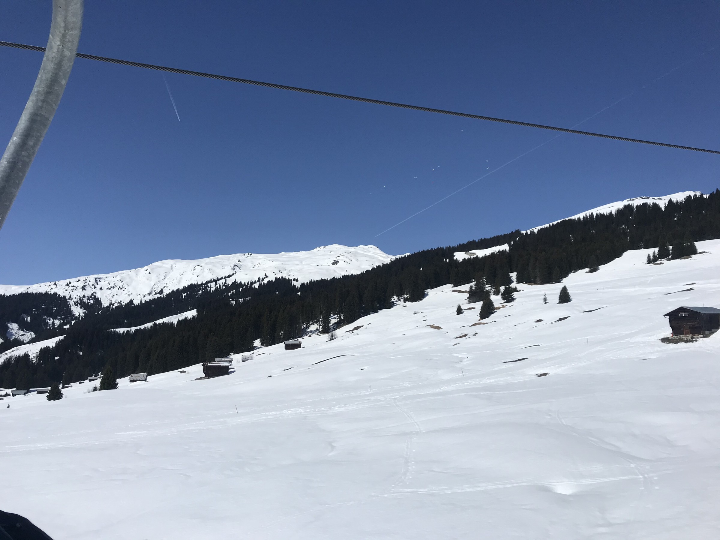 92D42C2C-6C06-40E6-96C9-D04B19D5B01E.jpeg