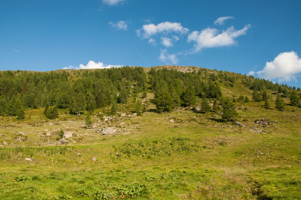 93.JPG