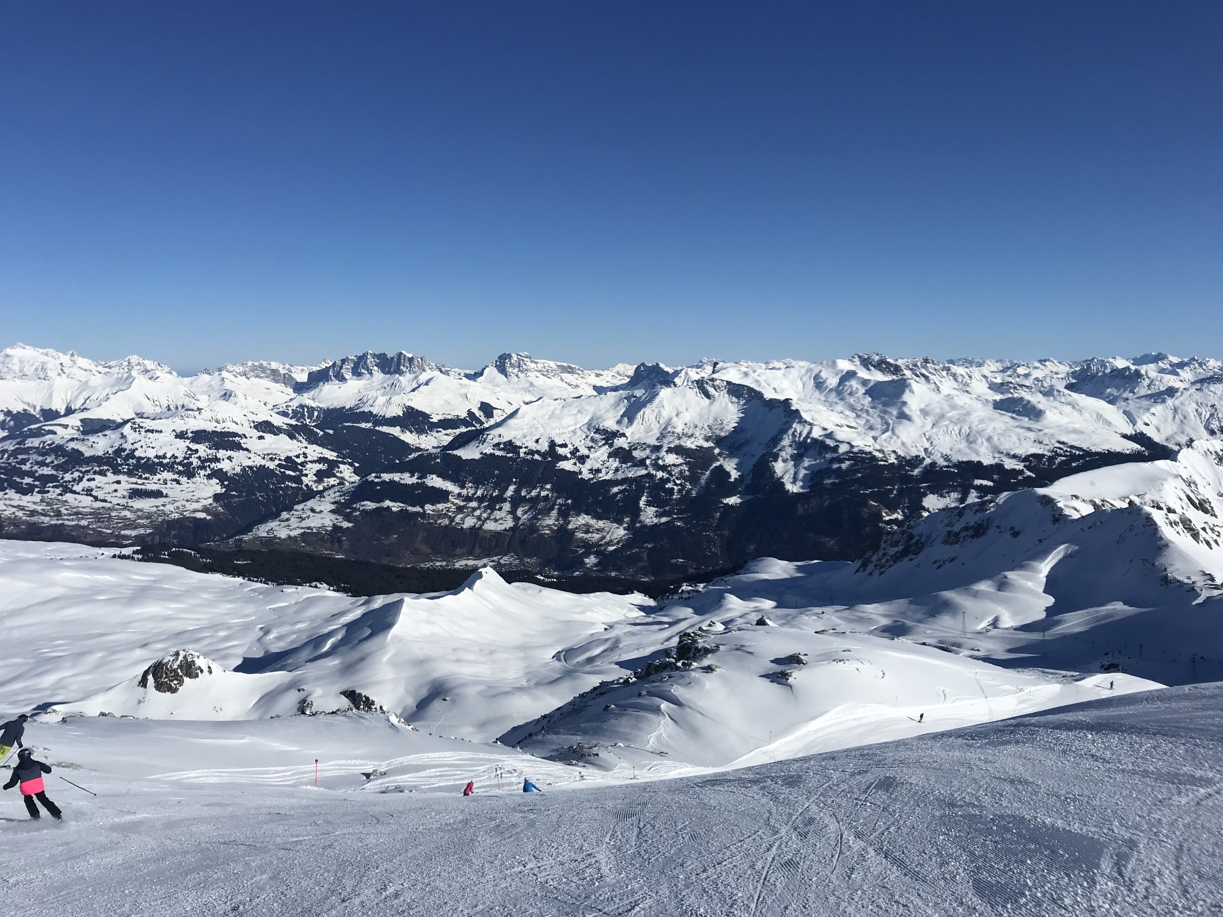 937342E5-BCAD-4C3E-A8E4-A4B8541EC742.jpeg