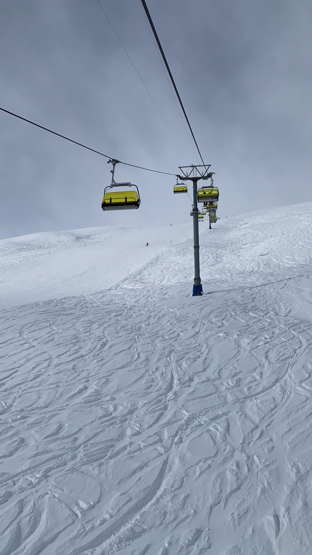 9459C667-9D3C-454C-87BA-07BD812D4BD5.jpeg