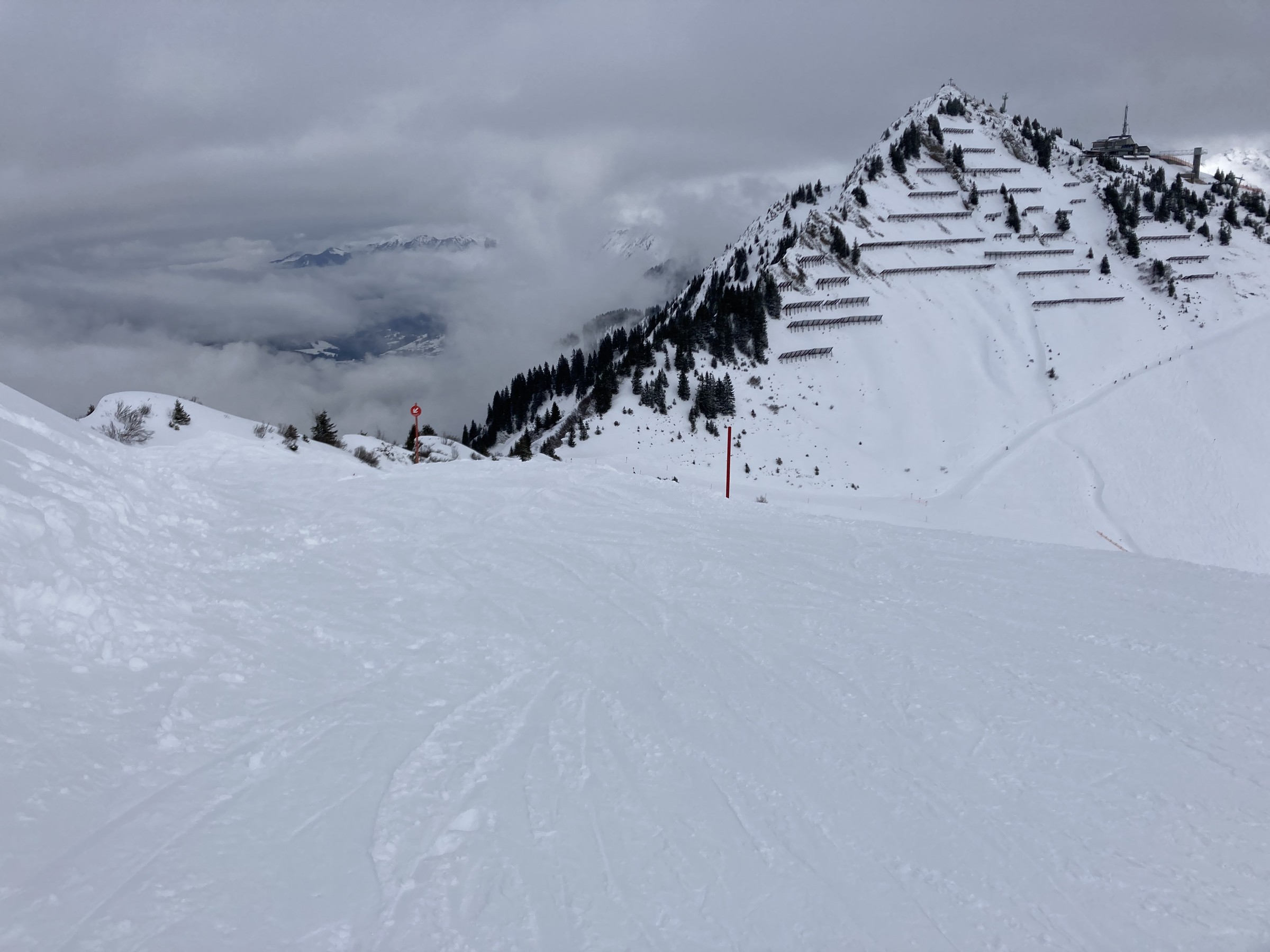 98A06ECB-21D1-4AAC-8C5F-D30B0116F67A.jpeg