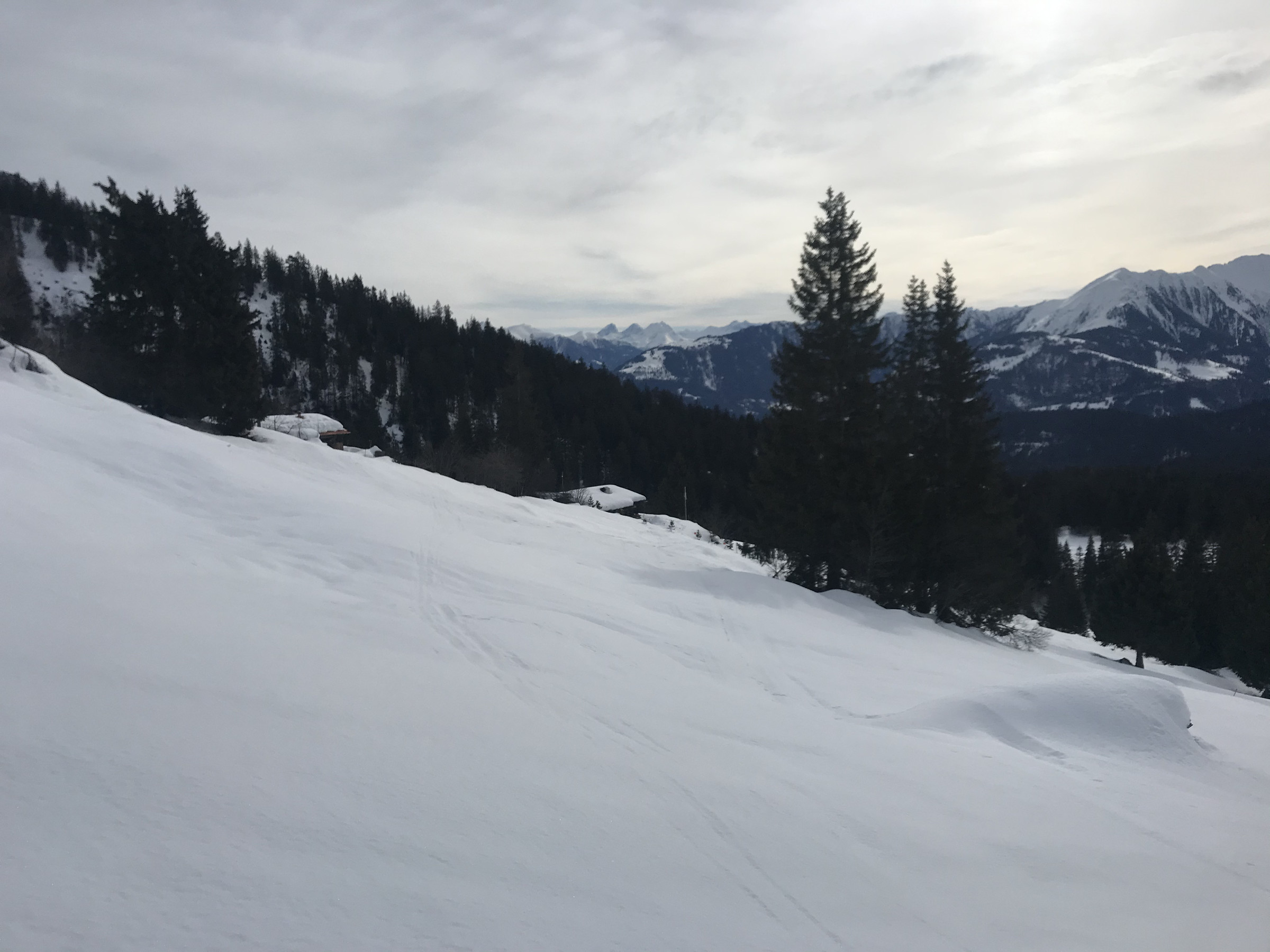 98C2B291-E09F-44D3-8709-ED0140653ABB.jpeg