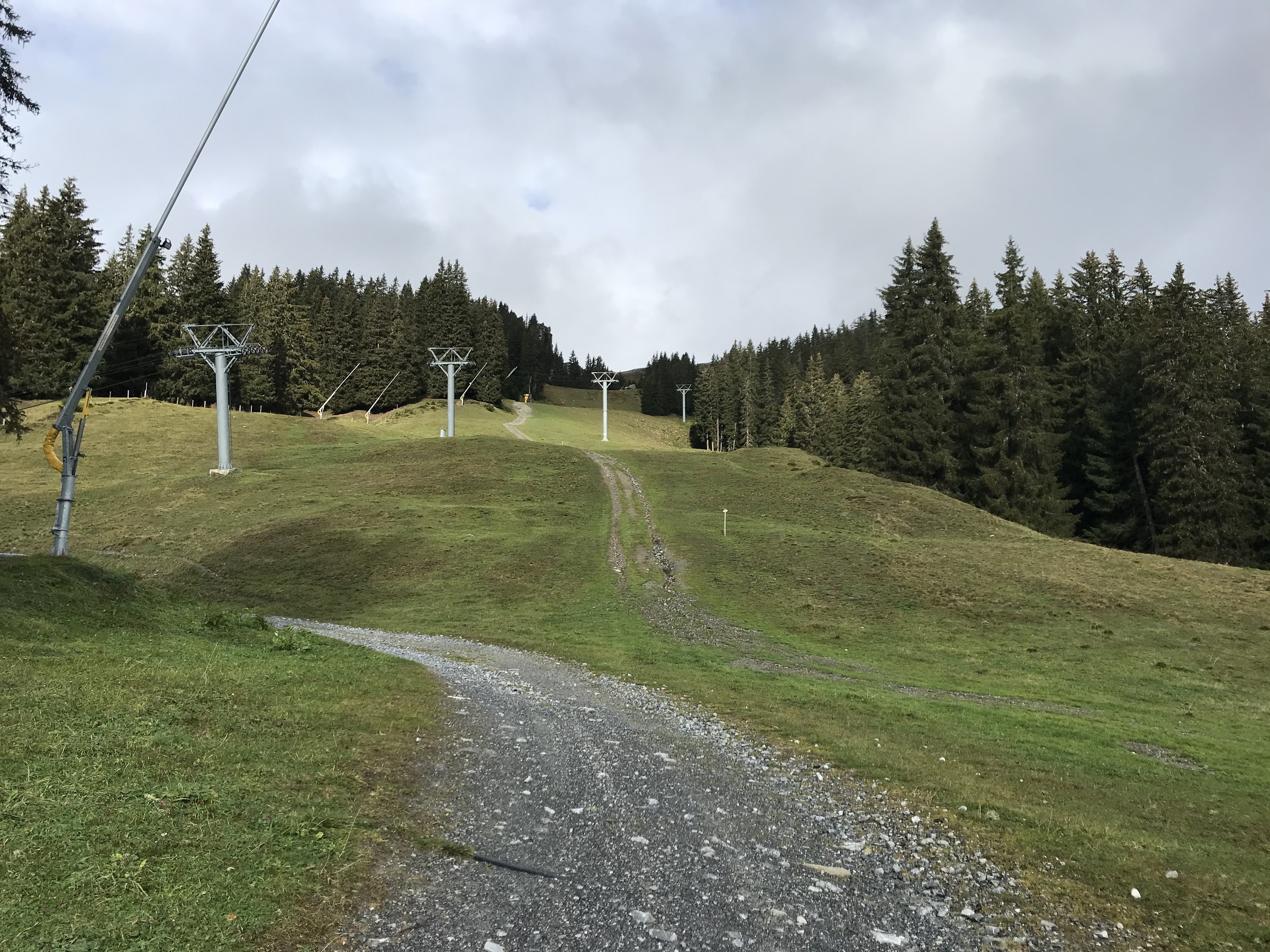 99D53373-2F2F-4128-B0F5-C50D60E5B09B.jpeg