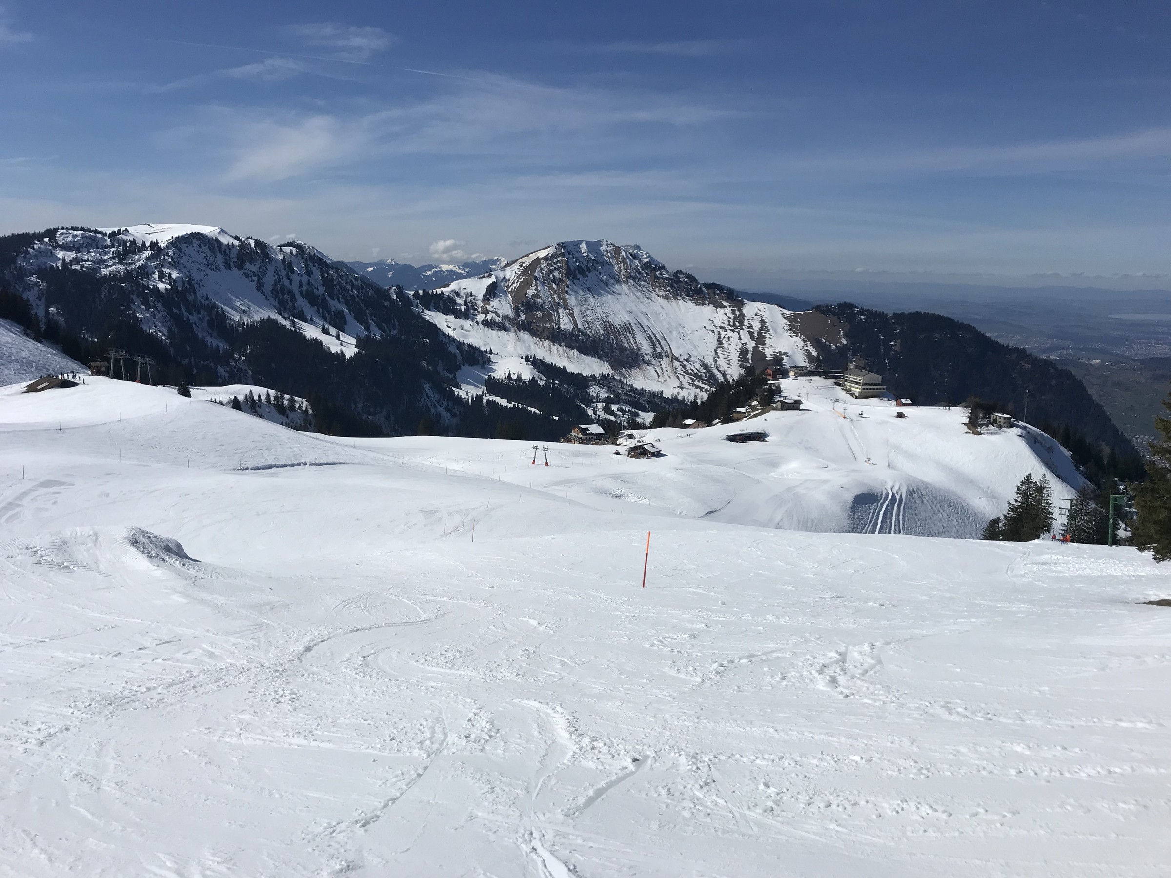 9A650228-7A2D-4254-B1D2-79A1967511D1.jpeg