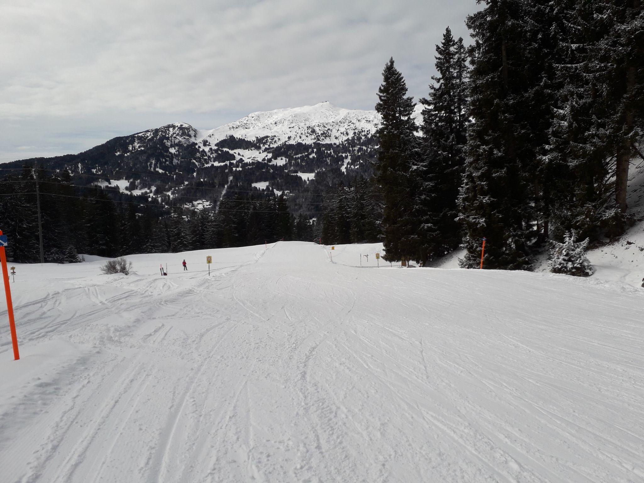 9E38DC59-19CF-4C48-9110-D48A684F1D38.jpeg