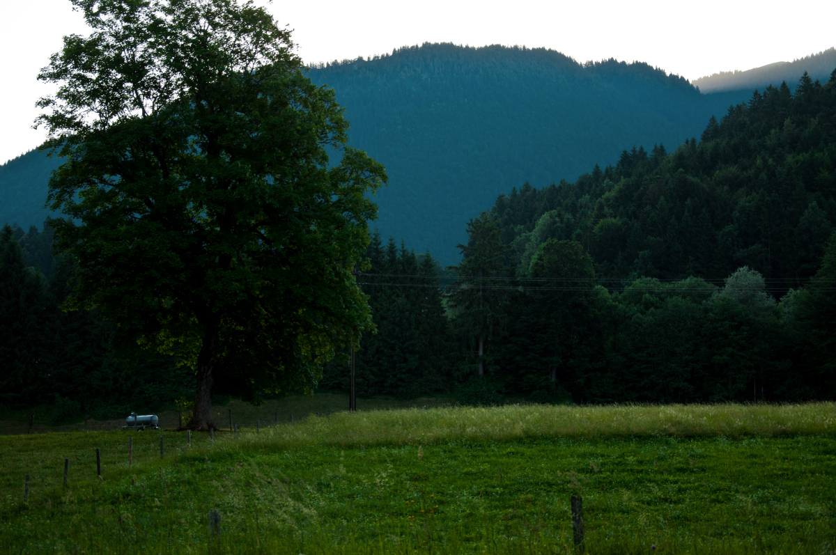 _DSC0003.jpg