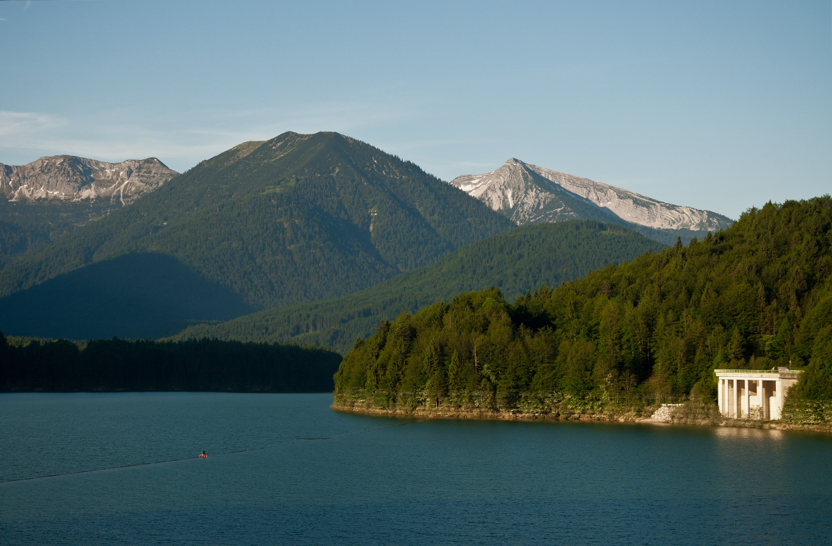 _DSC0006.jpg