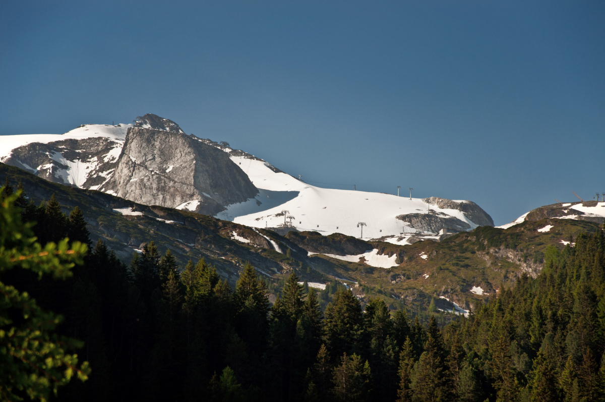 _DSC0010.jpg