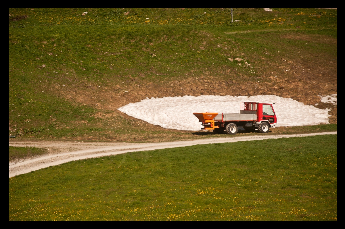 _DSC0029.jpg