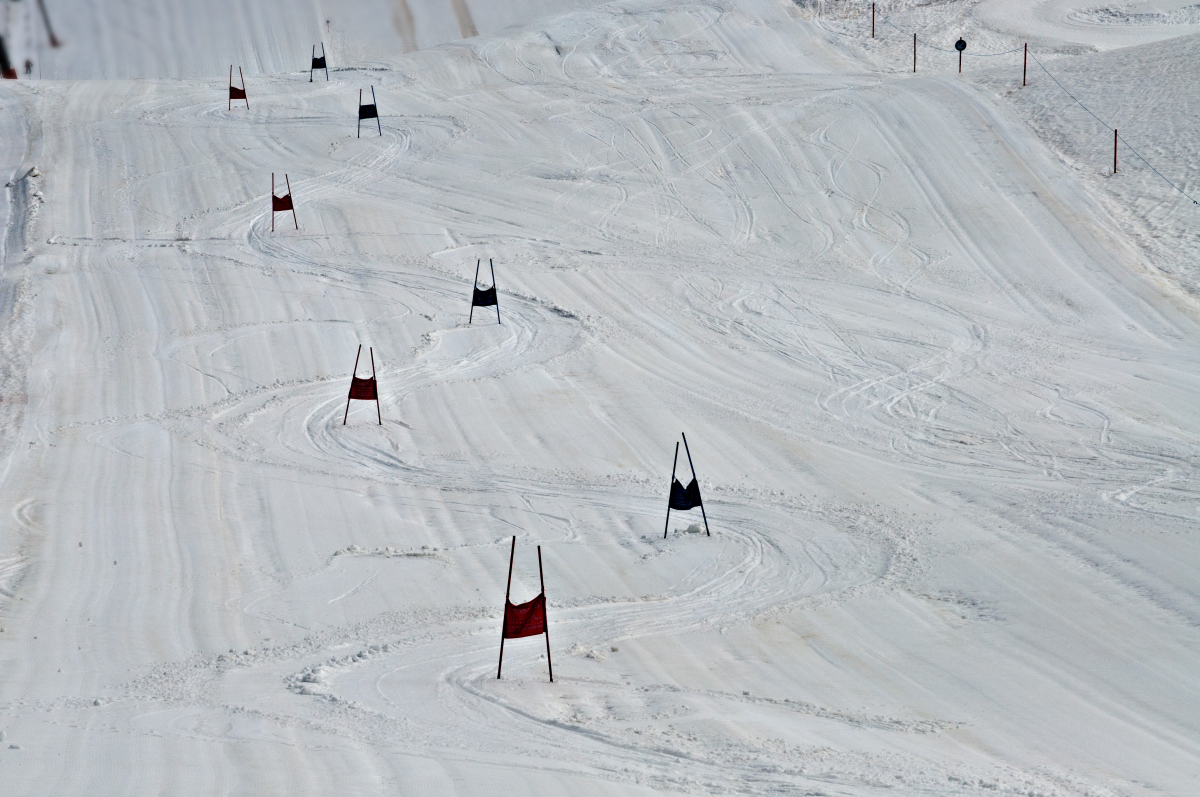 _DSC0058.jpg