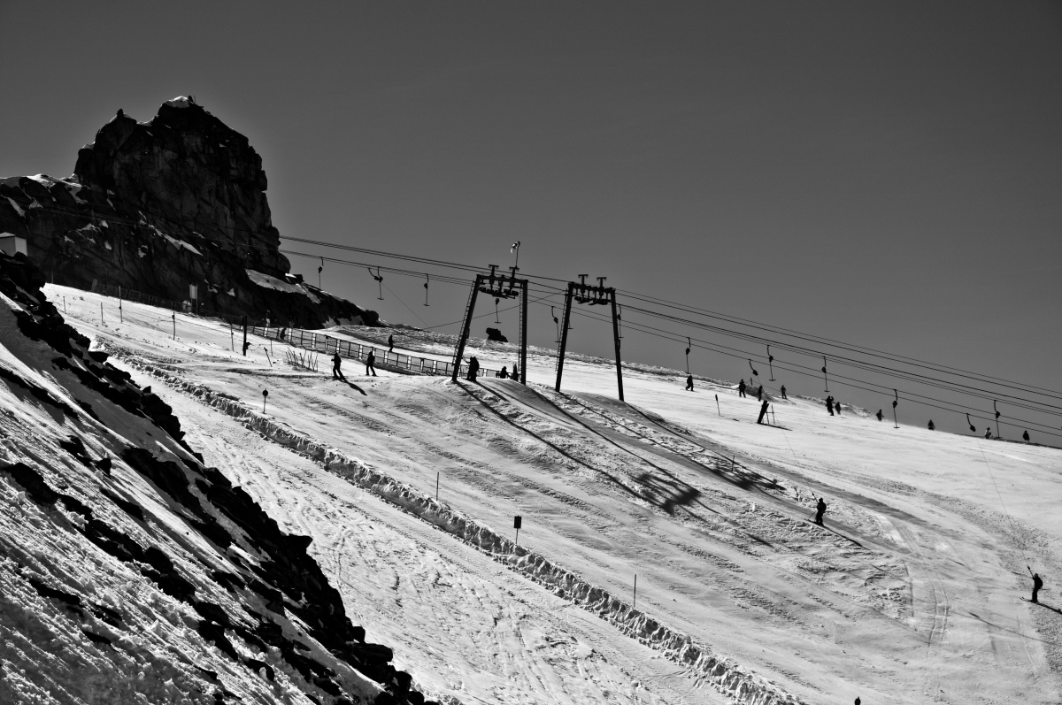 _DSC0107.jpg