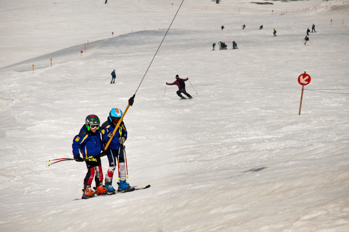 _DSC0117.jpg