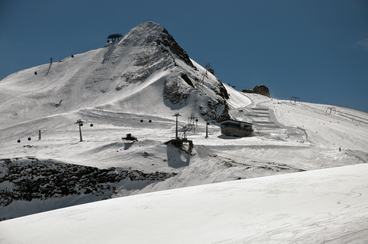_DSC0203.jpg