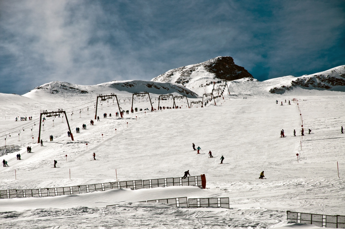 _DSC0206.jpg
