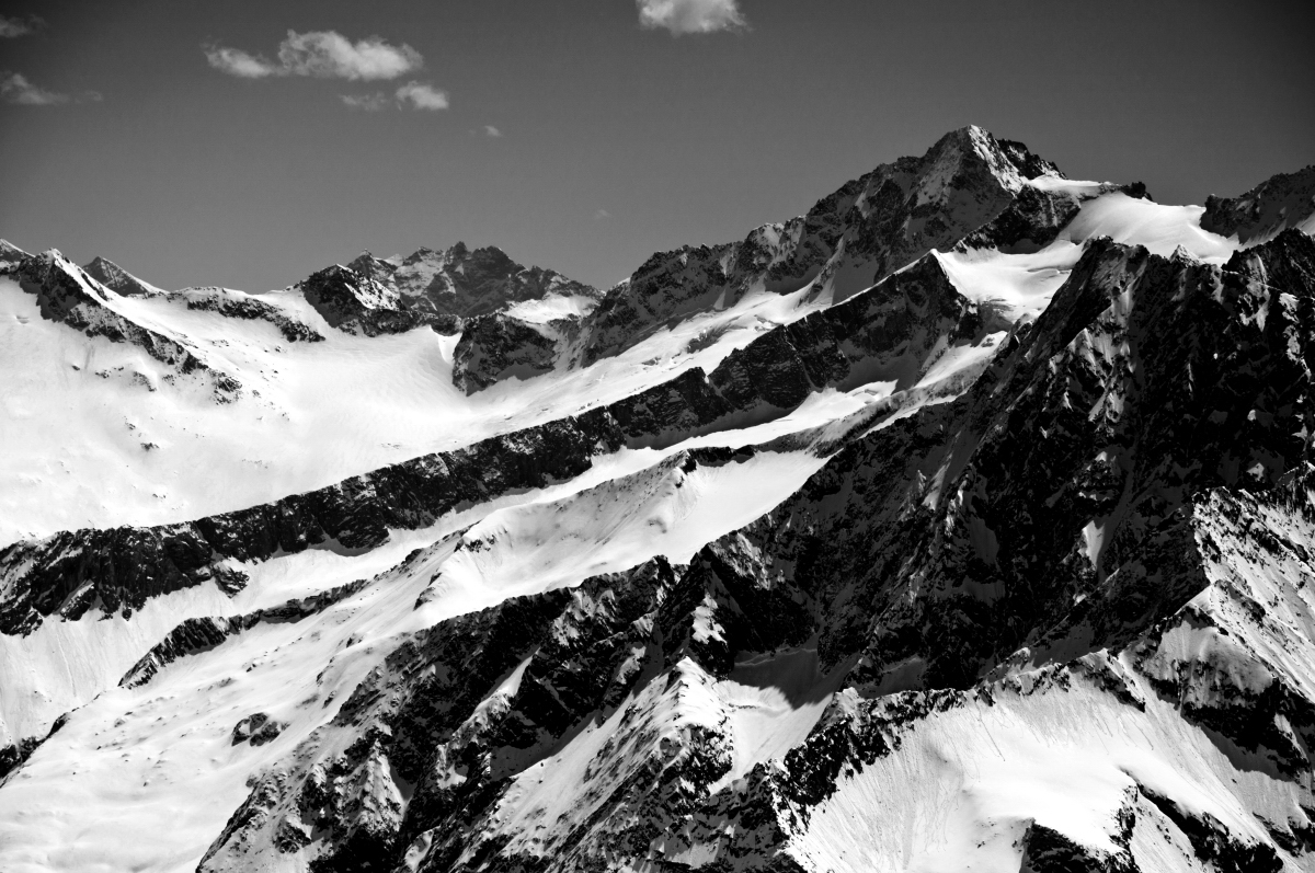 _DSC0249.jpg