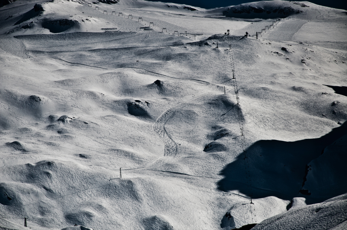 _DSC0300.jpg