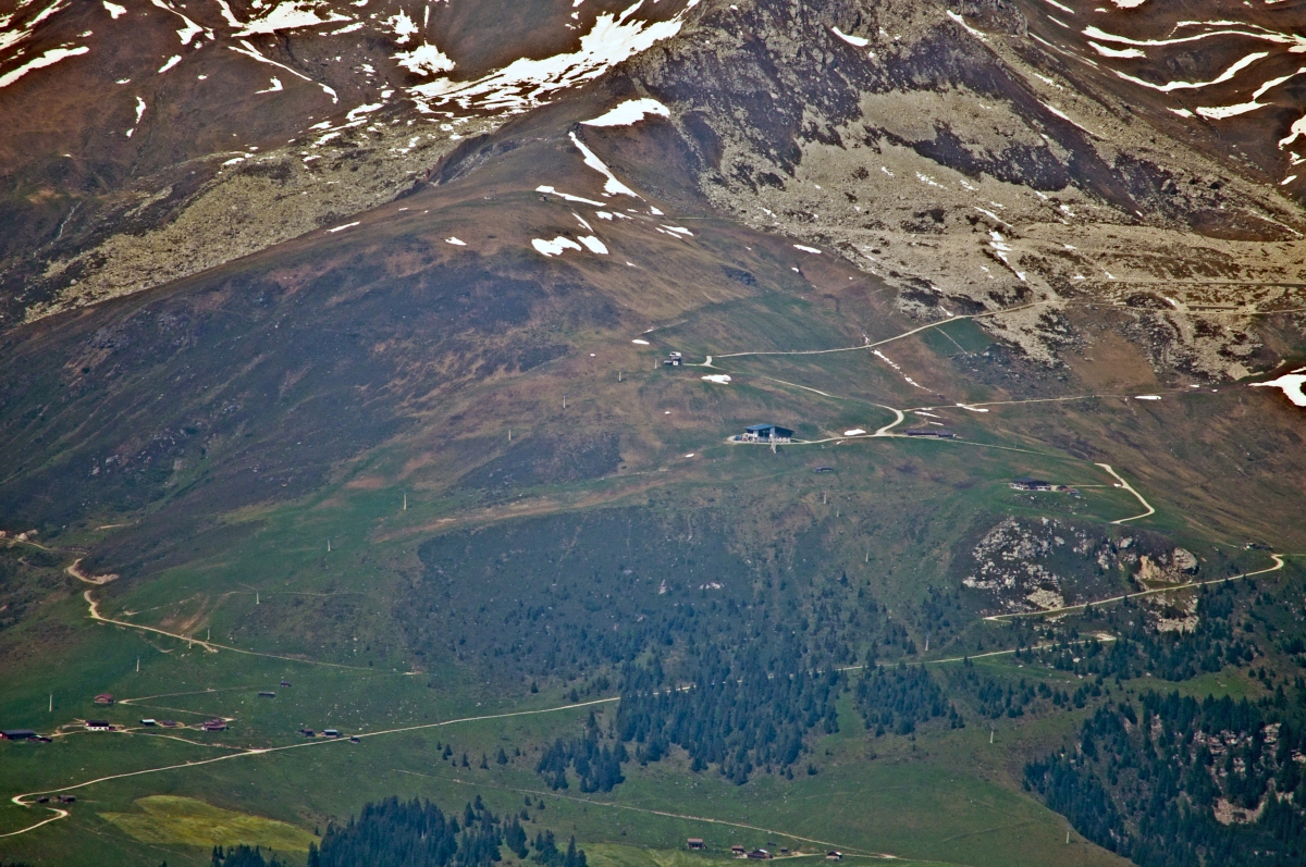 _DSC0312.jpg