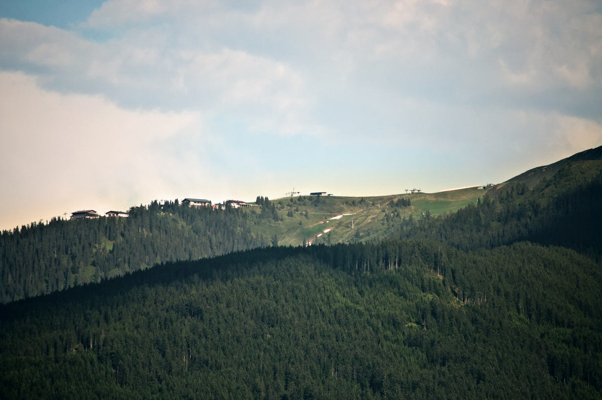 _DSC0465.jpg