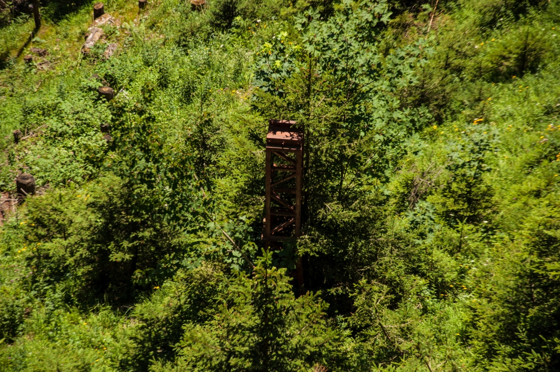 _DSC0876.JPG