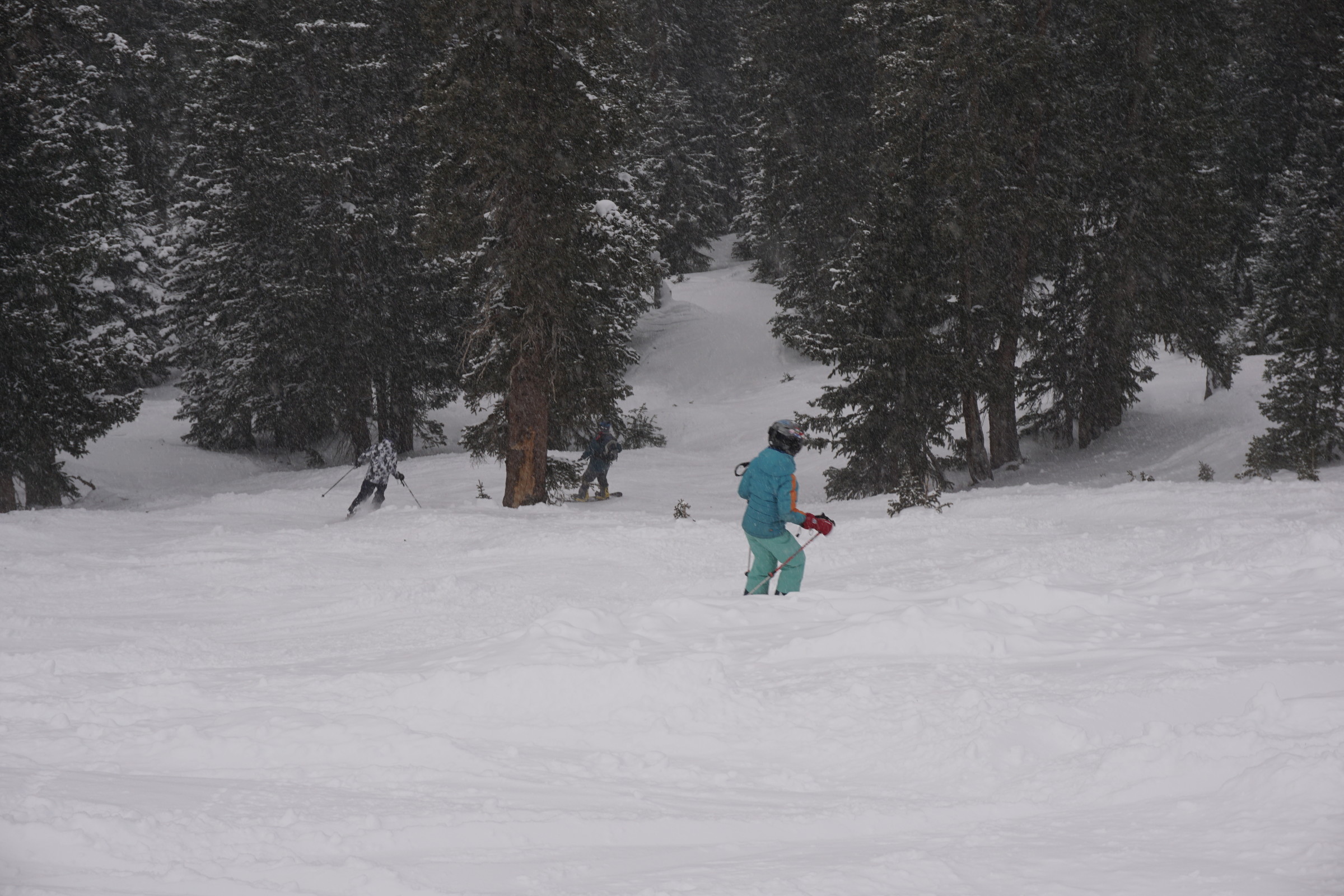 _DSC8473.JPG