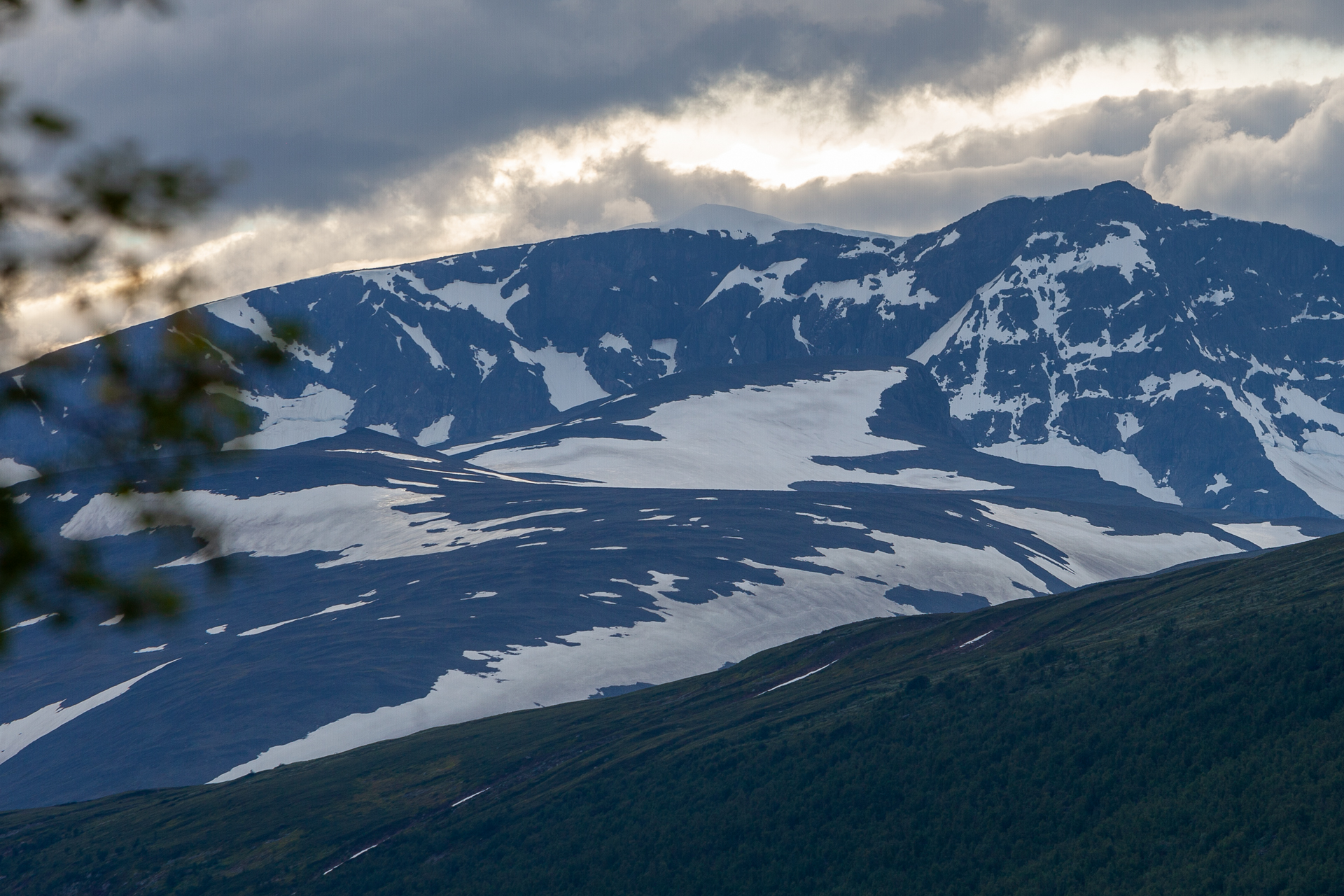 _MG_6376.jpg