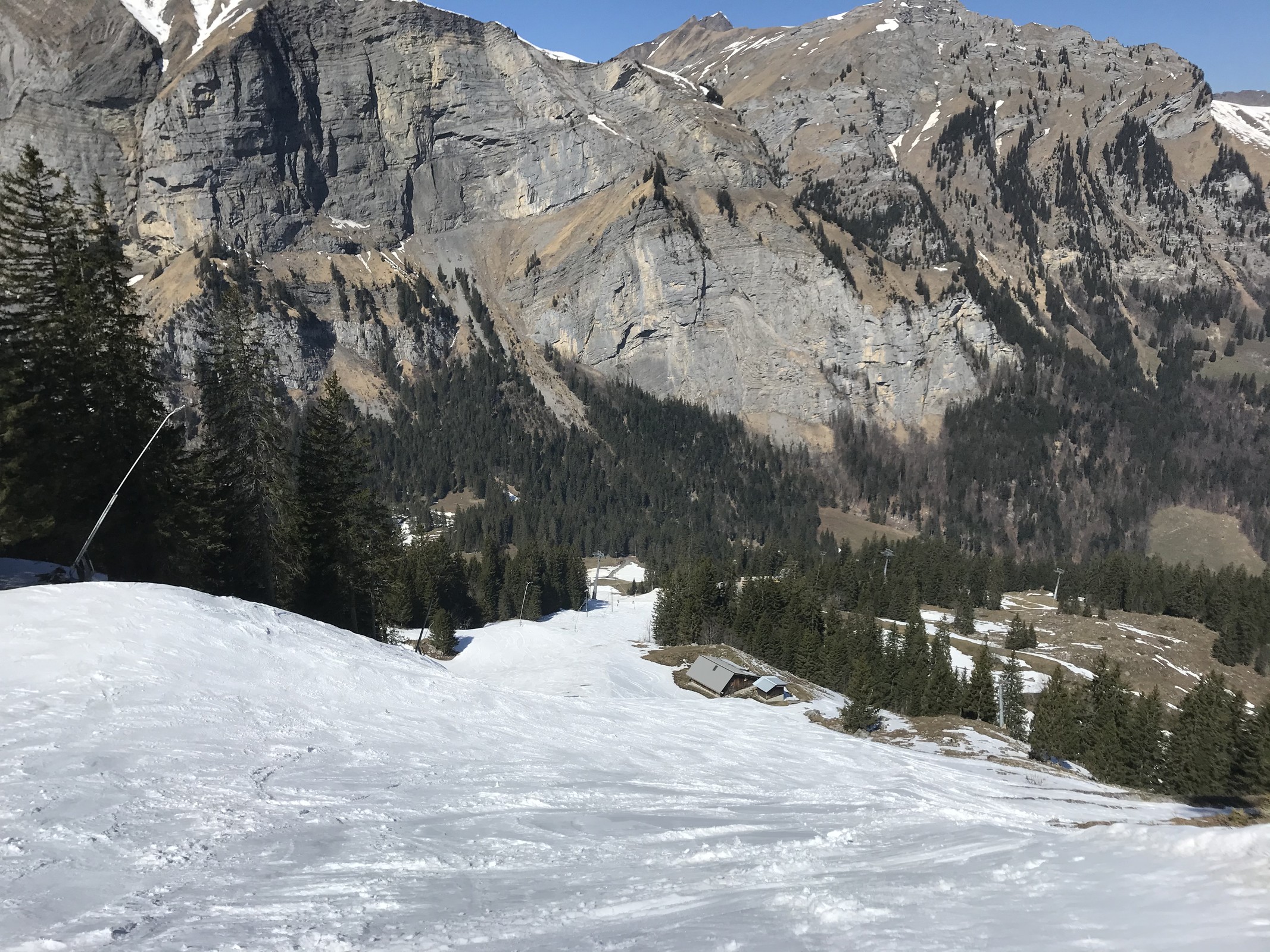 A05109A1-61A2-4751-9DF2-8DB9C2F5D220.jpeg
