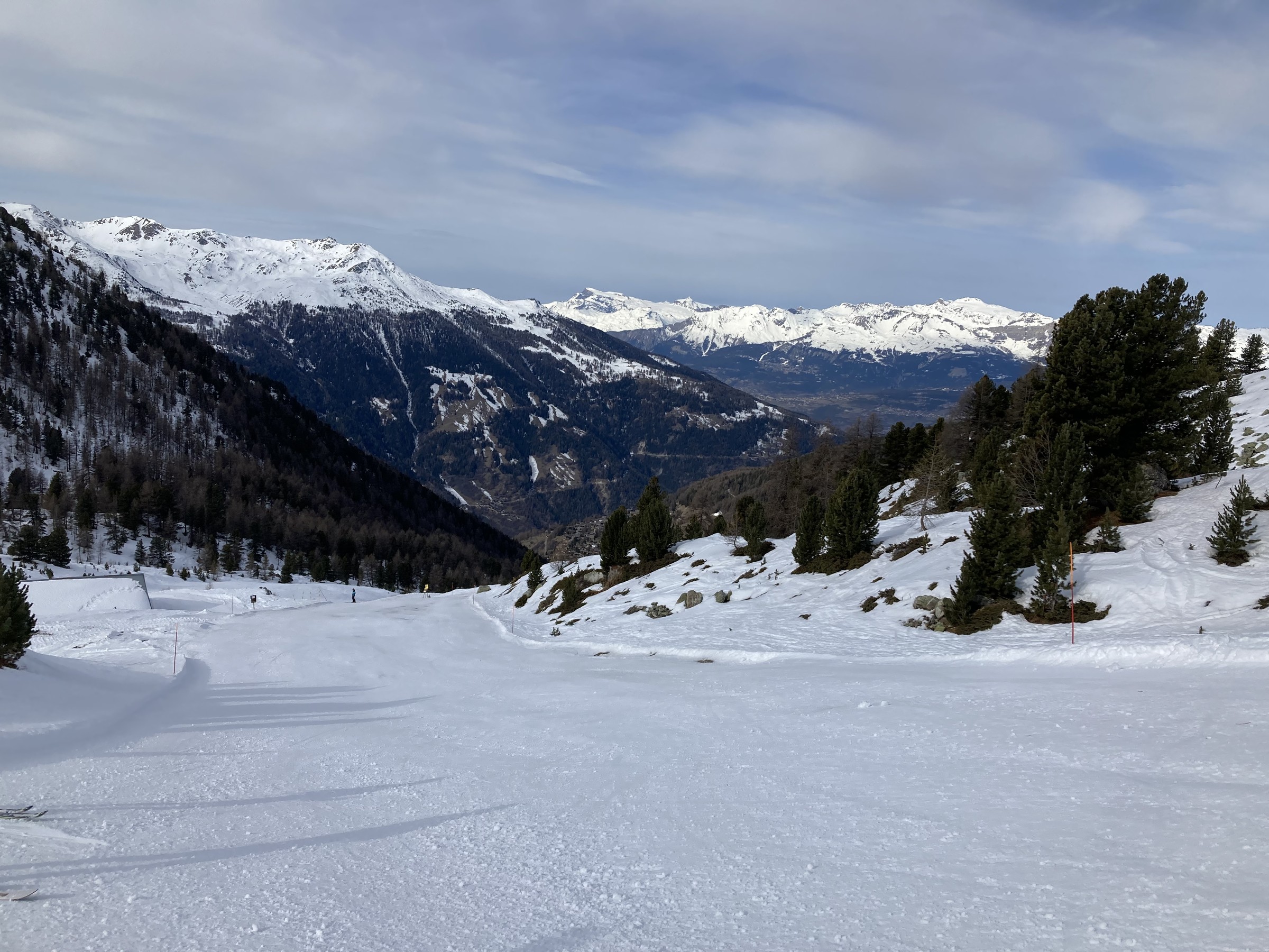 A09A9523-8CB5-458F-A824-680C520F862A.jpeg
