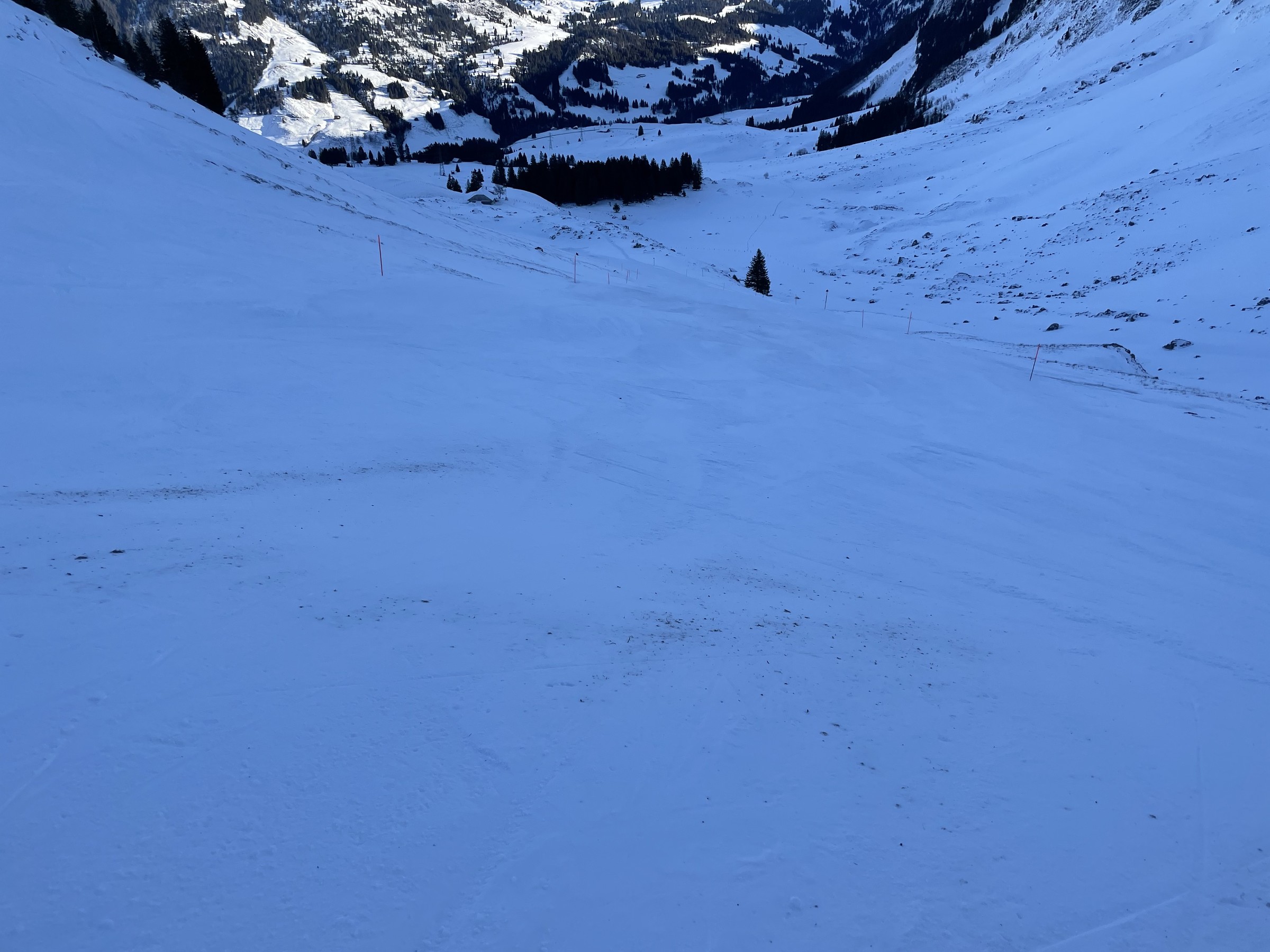 A2996435-9F01-41DF-823E-BC497B77934E.jpeg