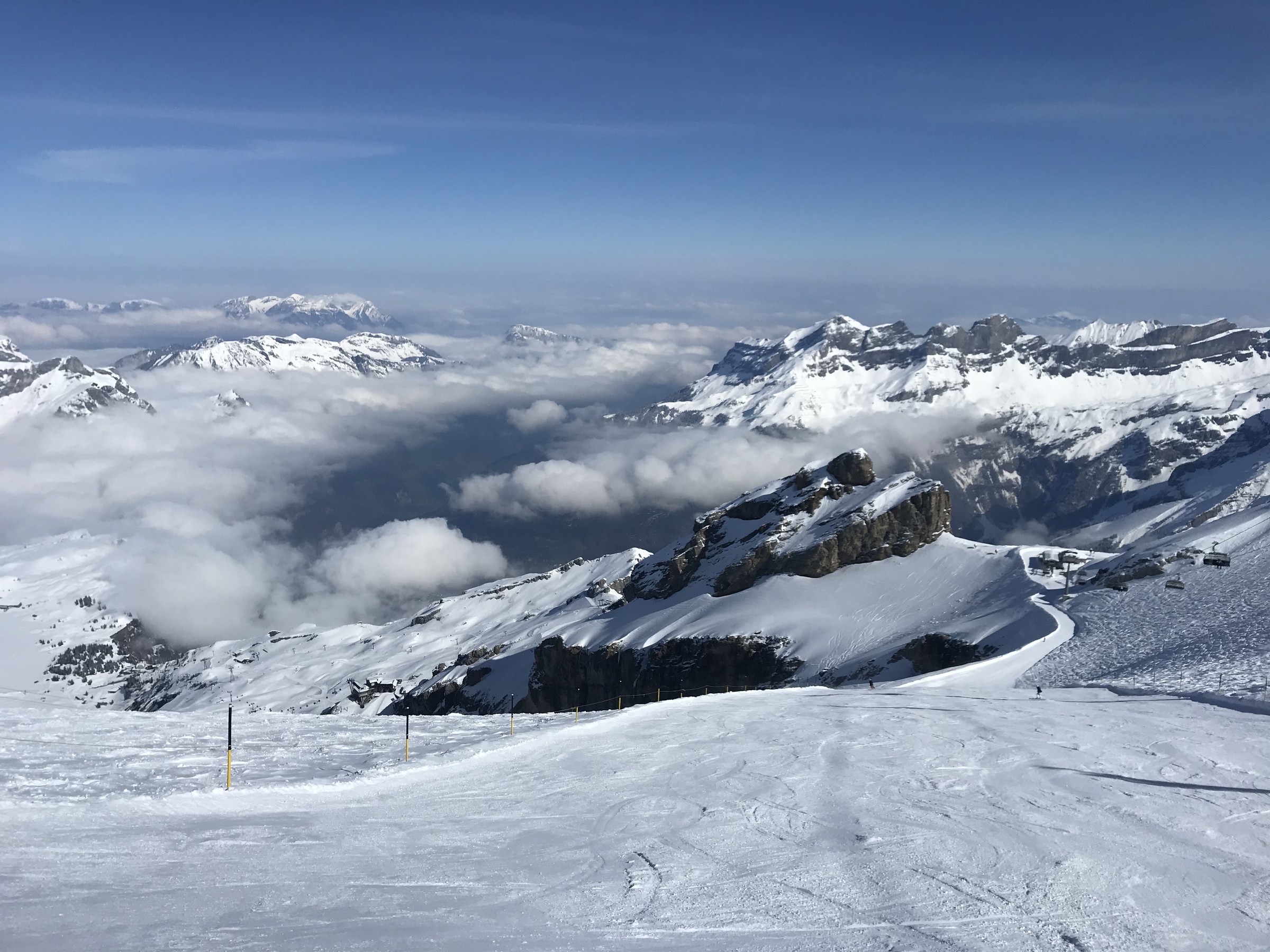 A2B730AD-61F9-4FC8-BBAE-BF3783D30334.jpeg