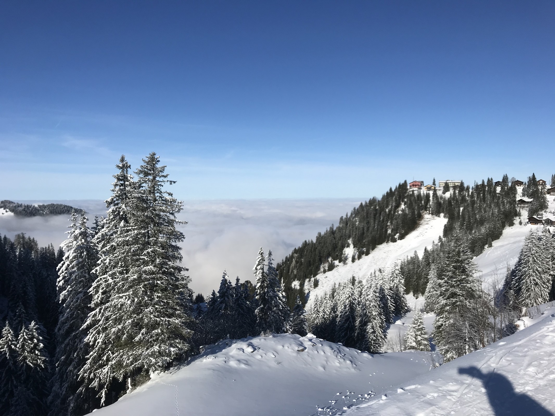 A6829E4E-2F39-40D2-88BD-F1EAC982809B.jpeg