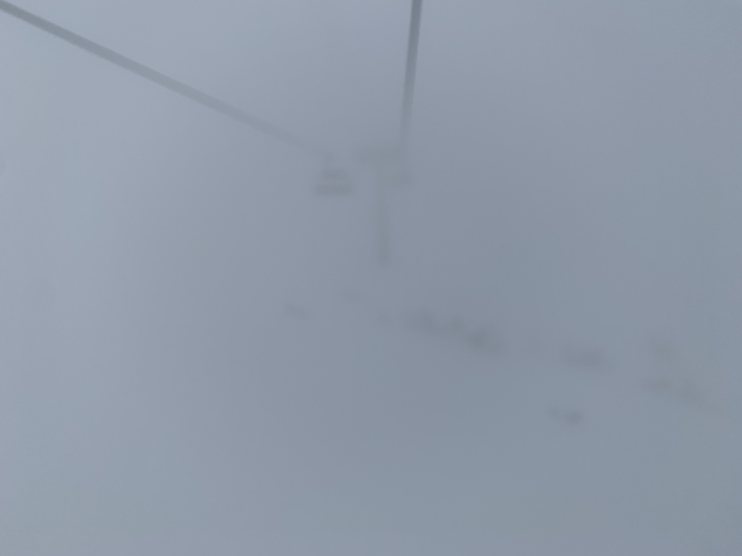 A694FBAD-4E75-4295-9D50-43AE27E7D3EA.jpeg