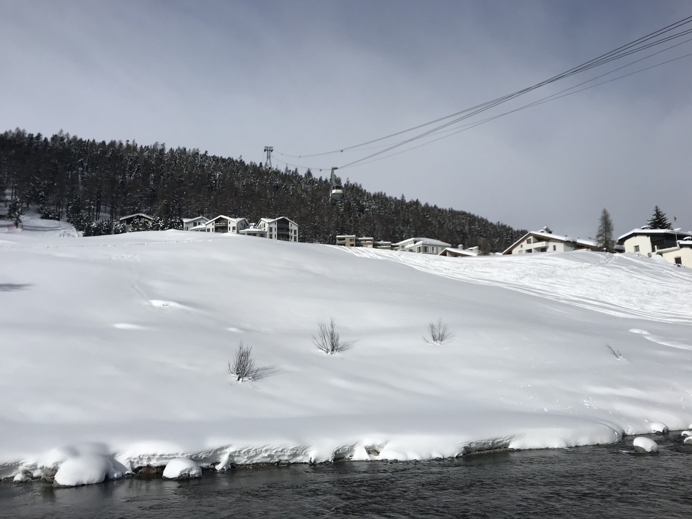 AA05C797-593C-4CE6-A23A-92BA361646CB.jpeg