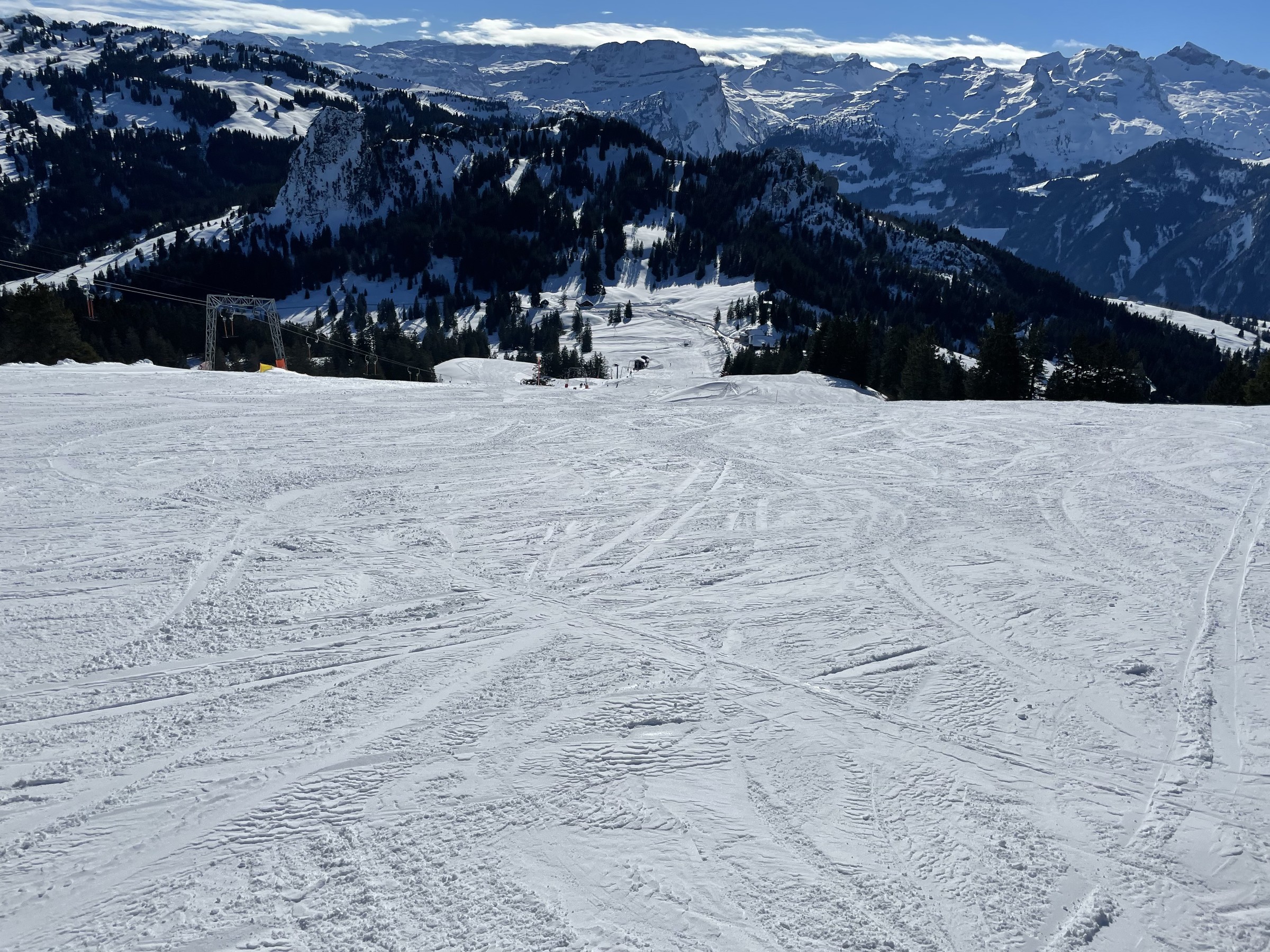 ADA1C48F-3B83-4CCF-BB5C-C295A32795AD.jpeg