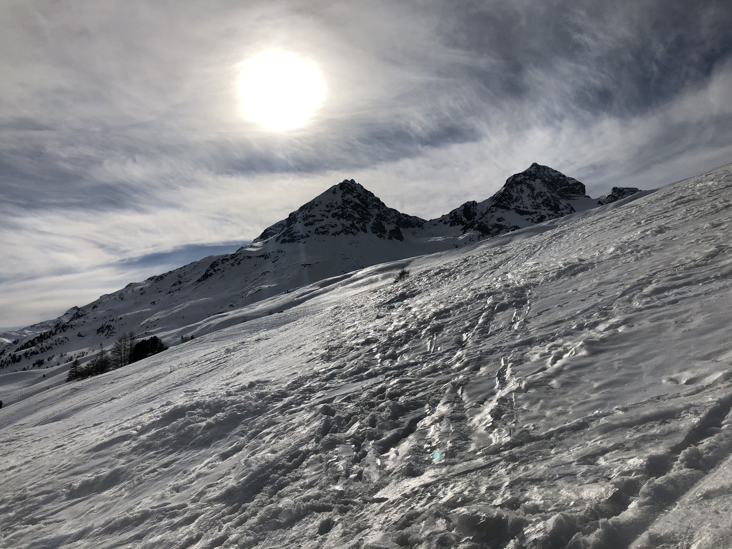 AF423CF7-6177-4FF2-85C2-2C19A20654C2.jpeg
