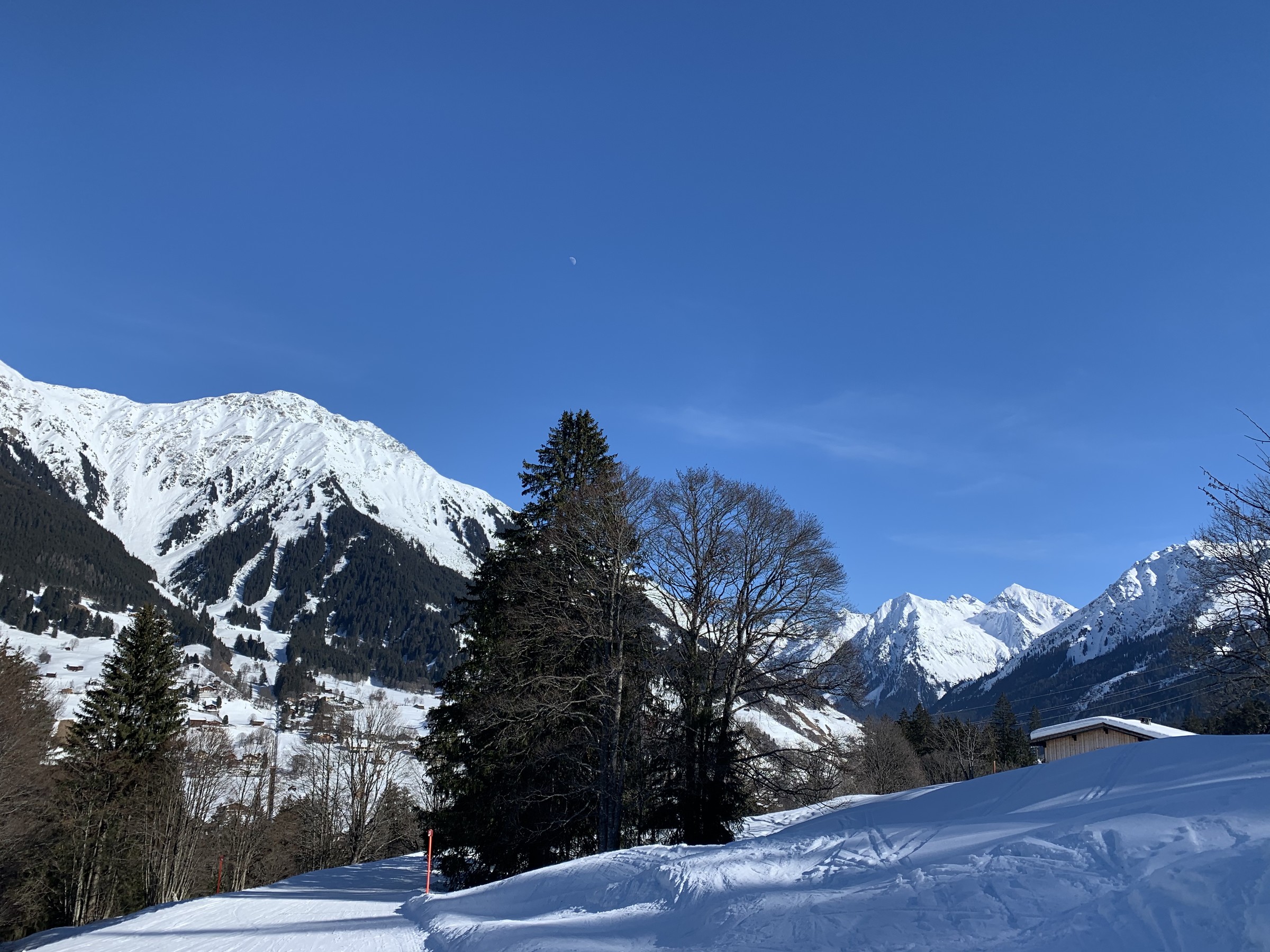 B0437AB7-A16C-4C7F-A8E2-893998A97DC0.jpeg