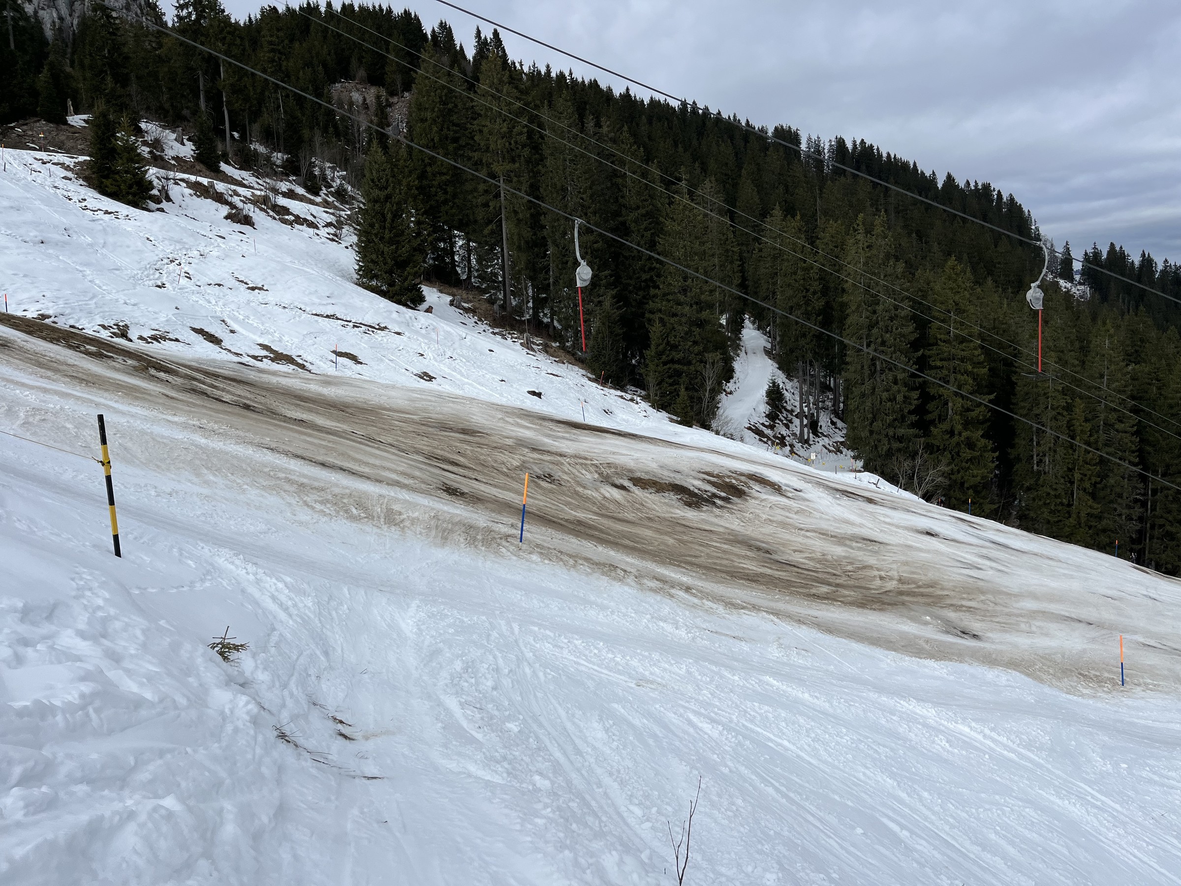 B2F13373-DF74-4531-AA25-199FA8382B20.jpeg