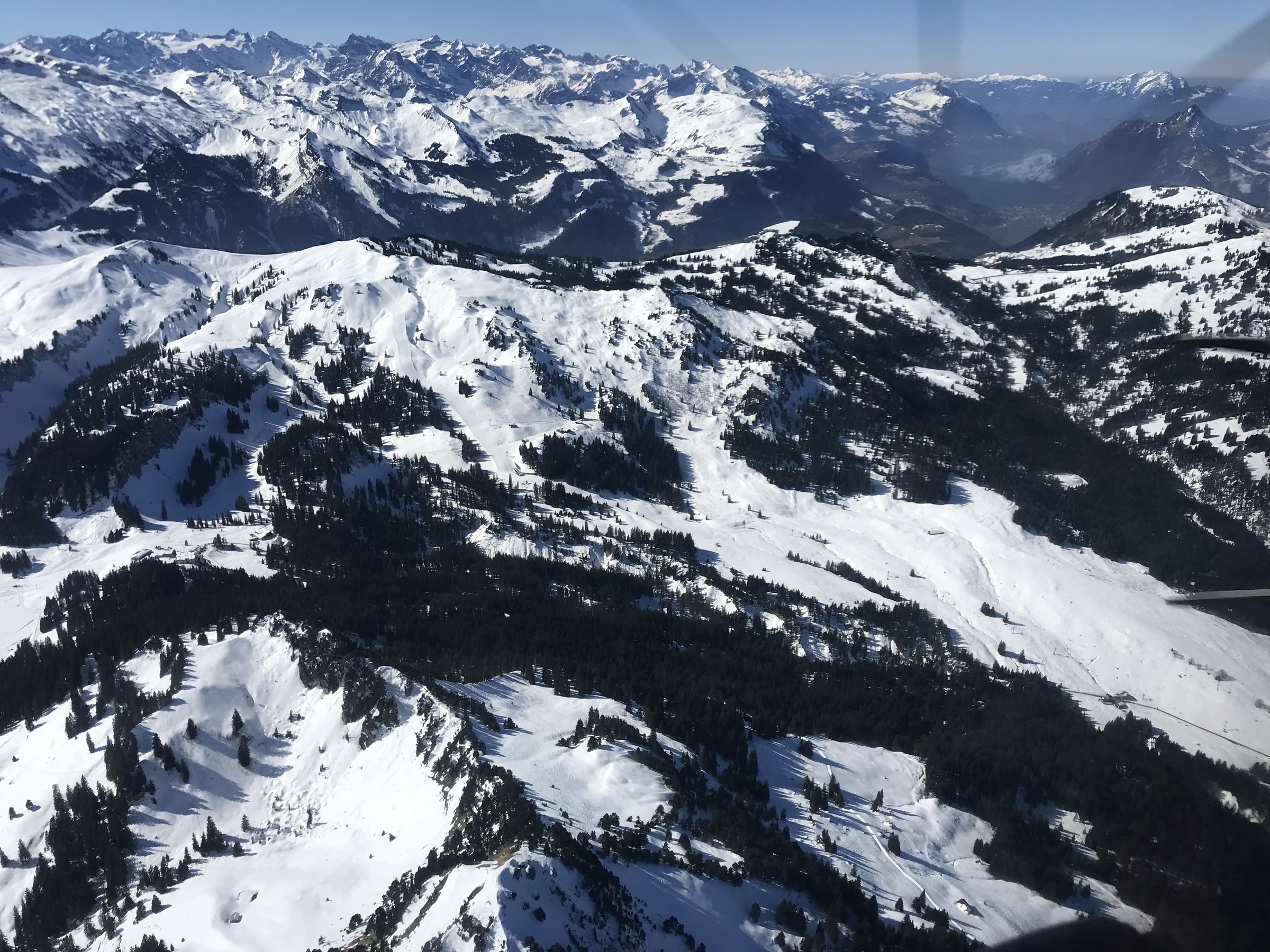 B38300D2-1DFC-4D75-96D7-0F09A35A203E.jpeg