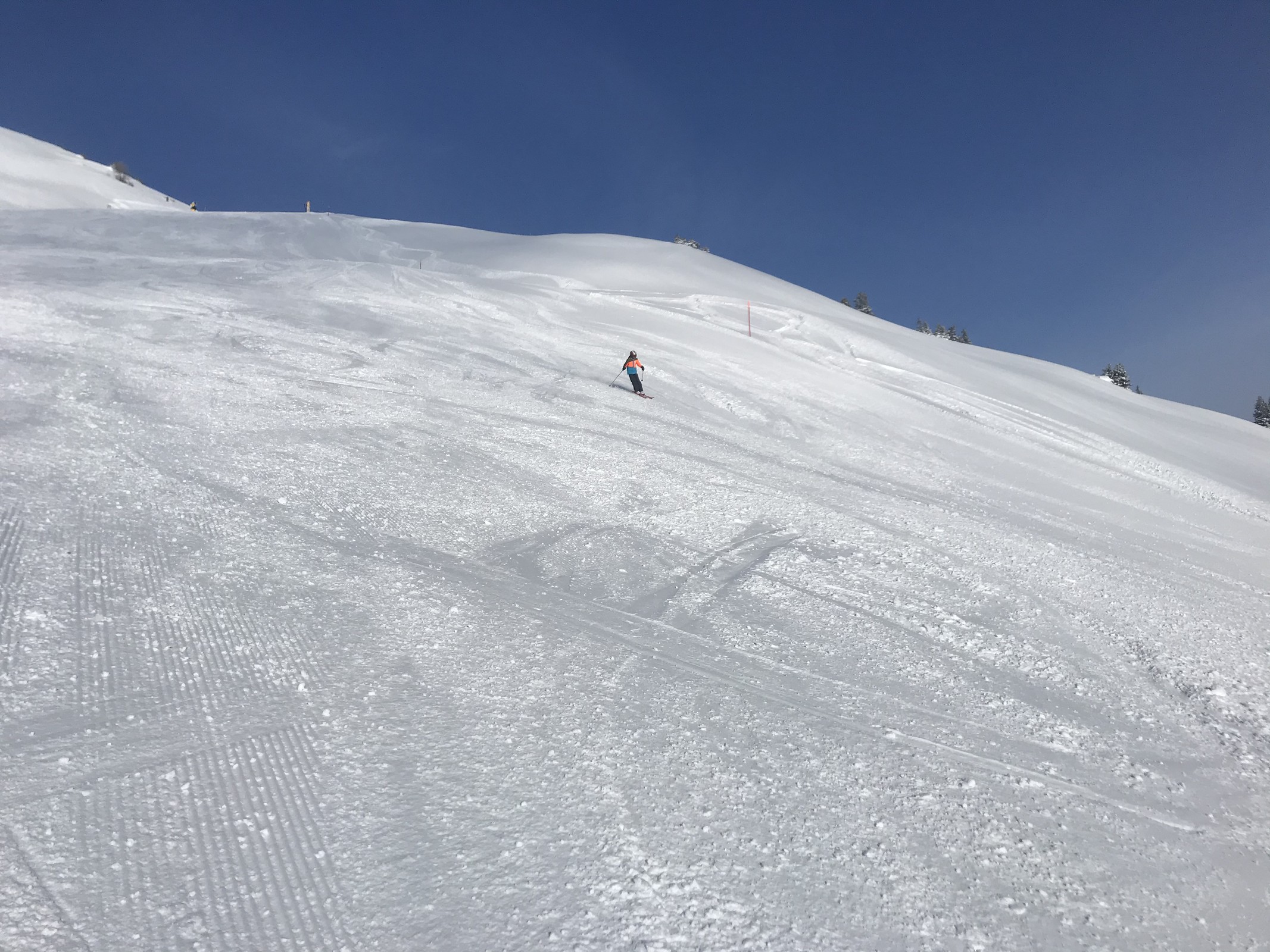 B4A92302-36CB-4760-8F2D-21CA41A90056.jpeg