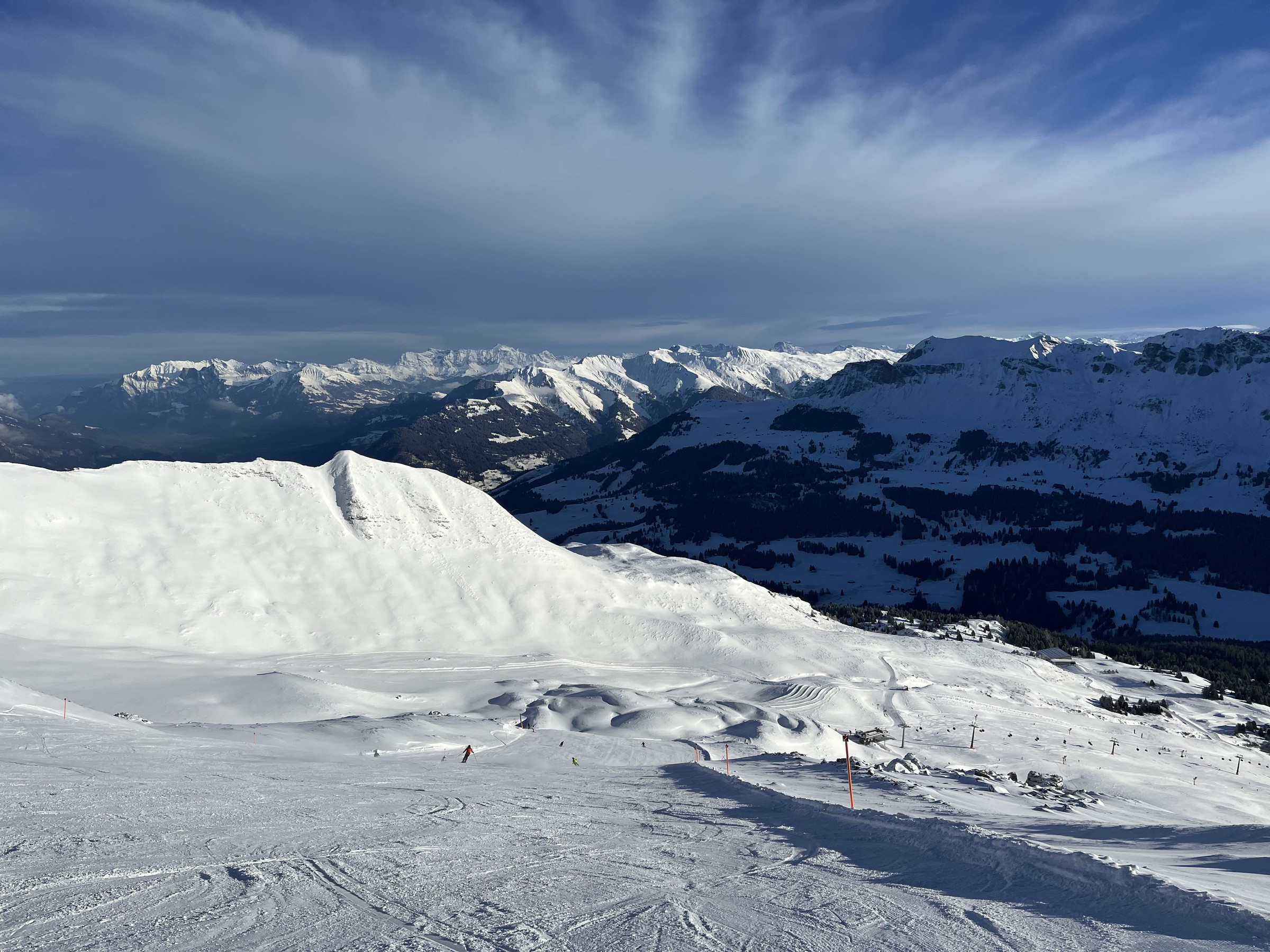 B50799D4-7244-47C0-BA41-D4FD96BEA307.jpeg