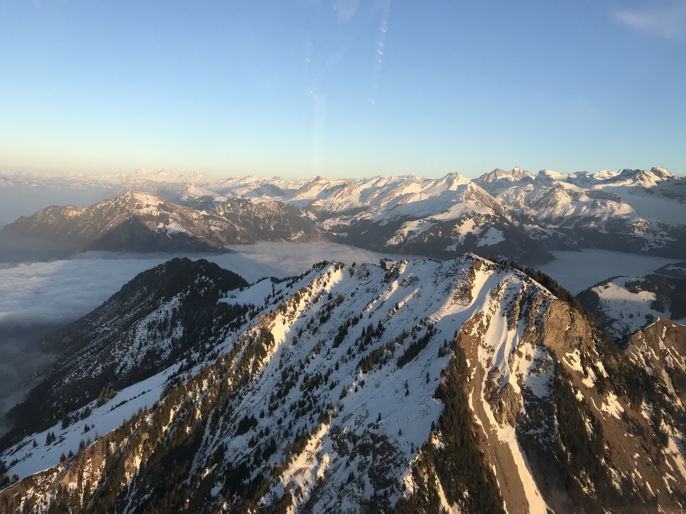 B6FA8179-04B0-44AC-8013-E5B30DF2C891.jpeg