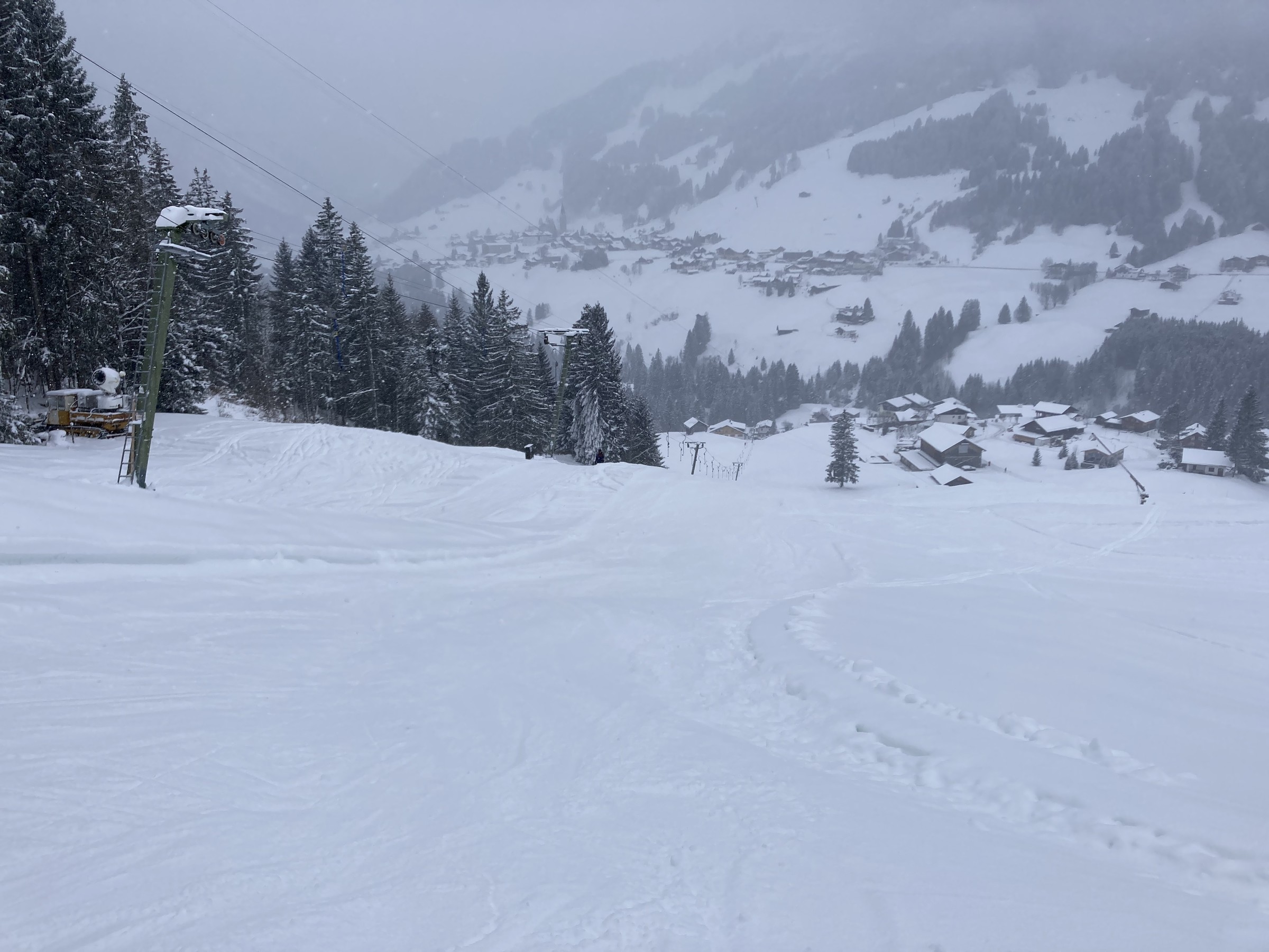 B7D98361-7ECB-49E9-A566-085B1F81BB1A.jpeg