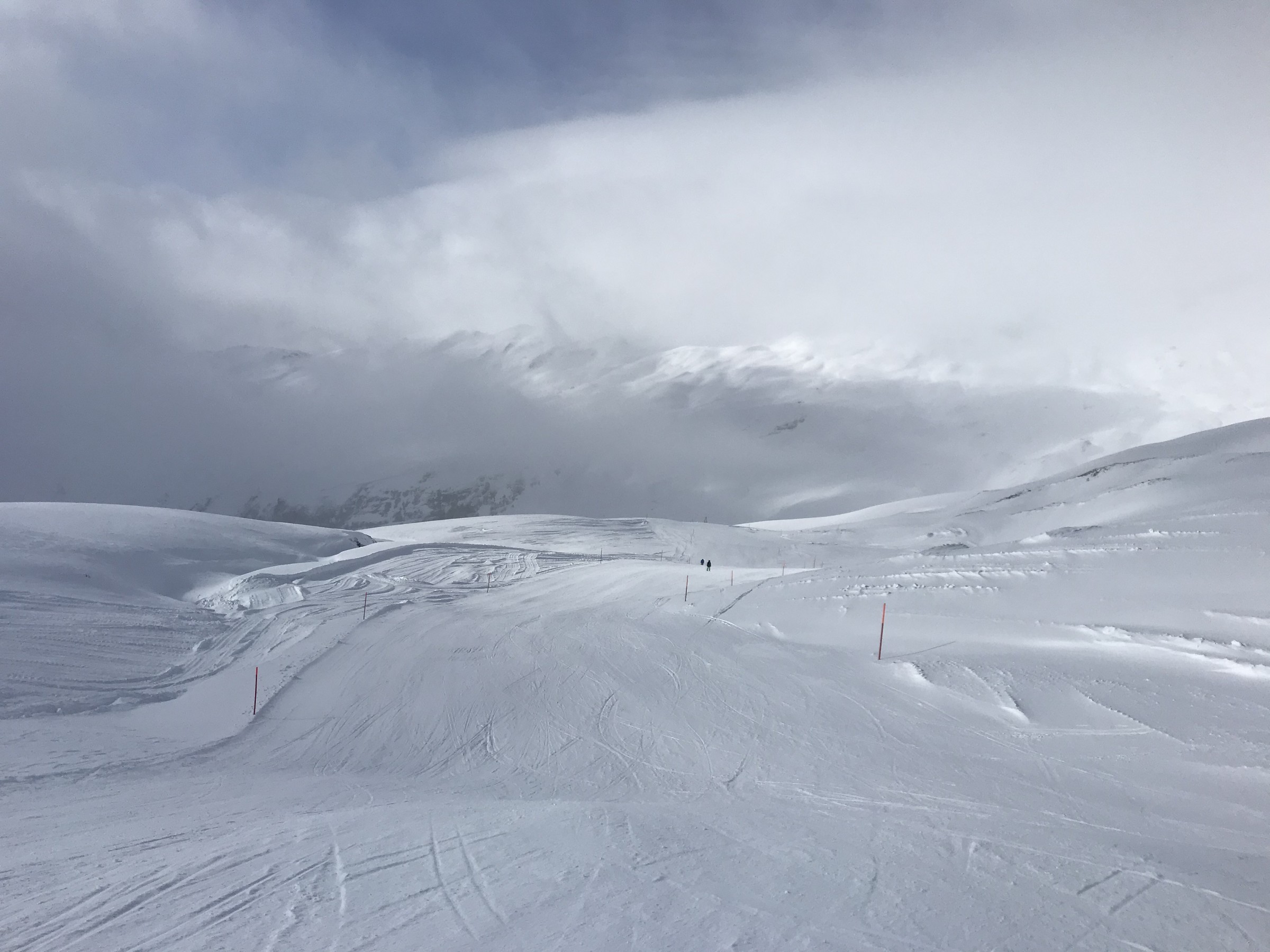 B877F04E-3828-4855-882B-13A2D13B8768.jpeg