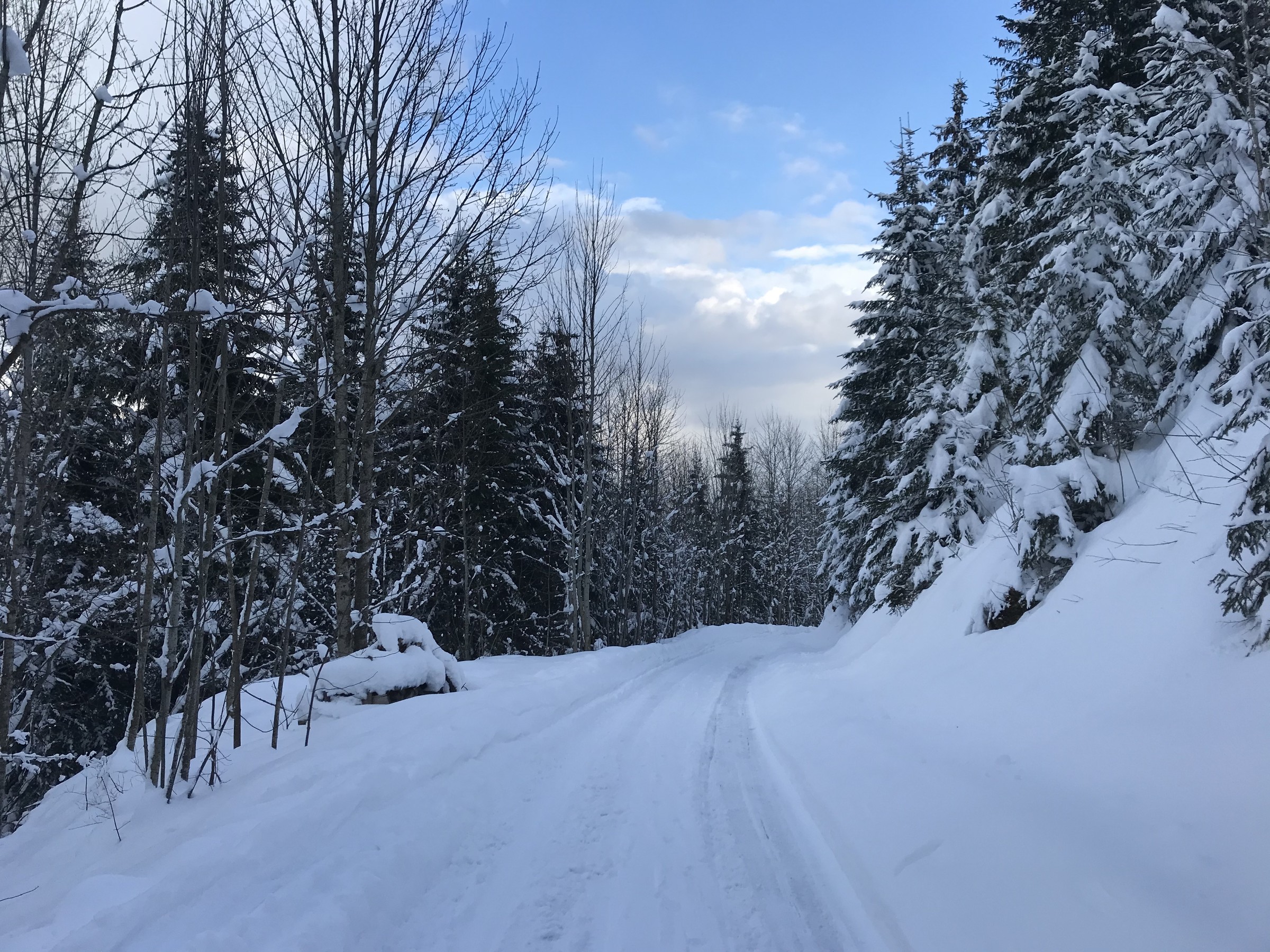 B96E769A-3B46-40B2-97CC-99074012906D.jpeg
