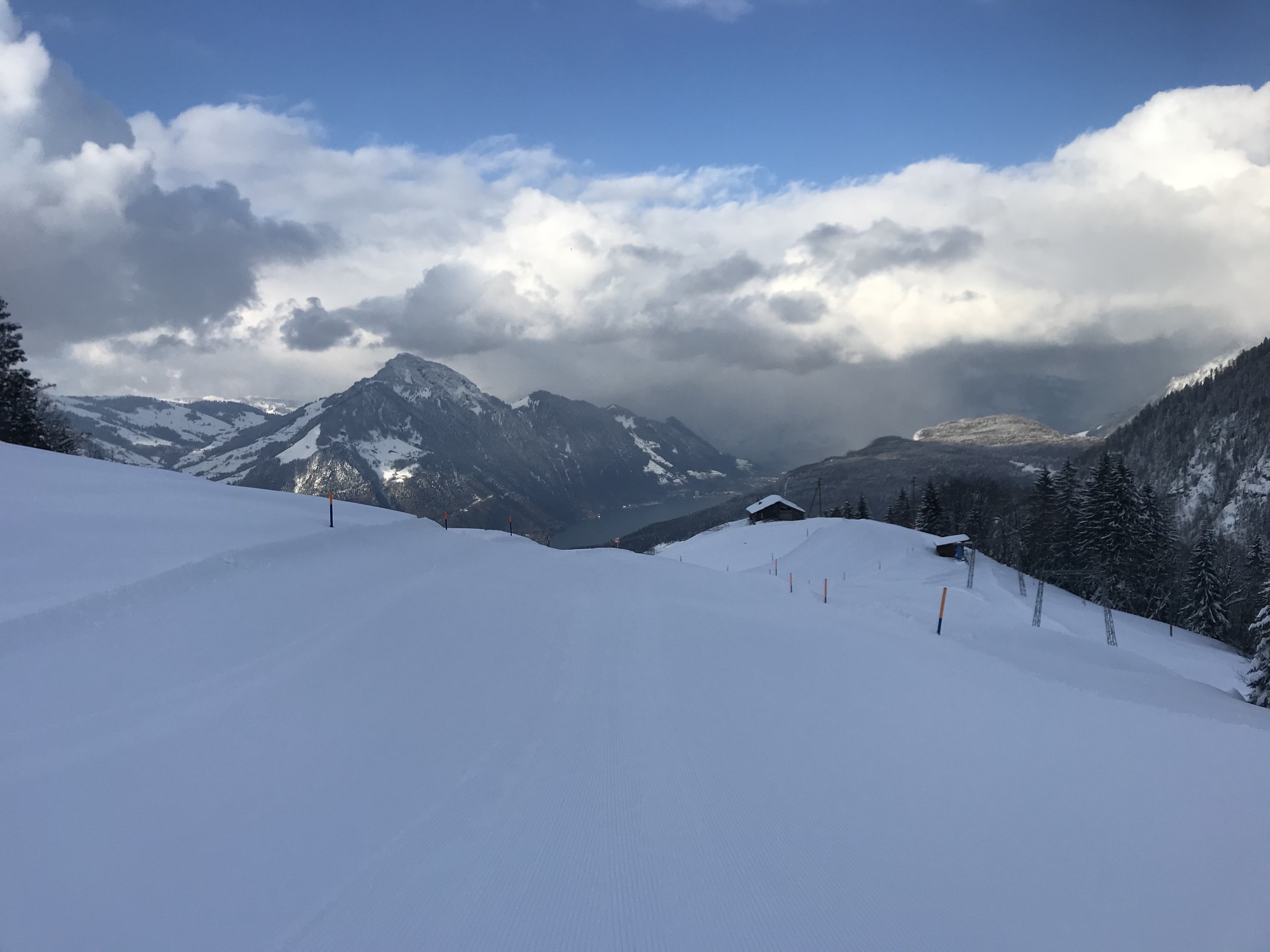 BA23B01B-1ABF-481B-A626-27D7DDF68BF5.jpeg