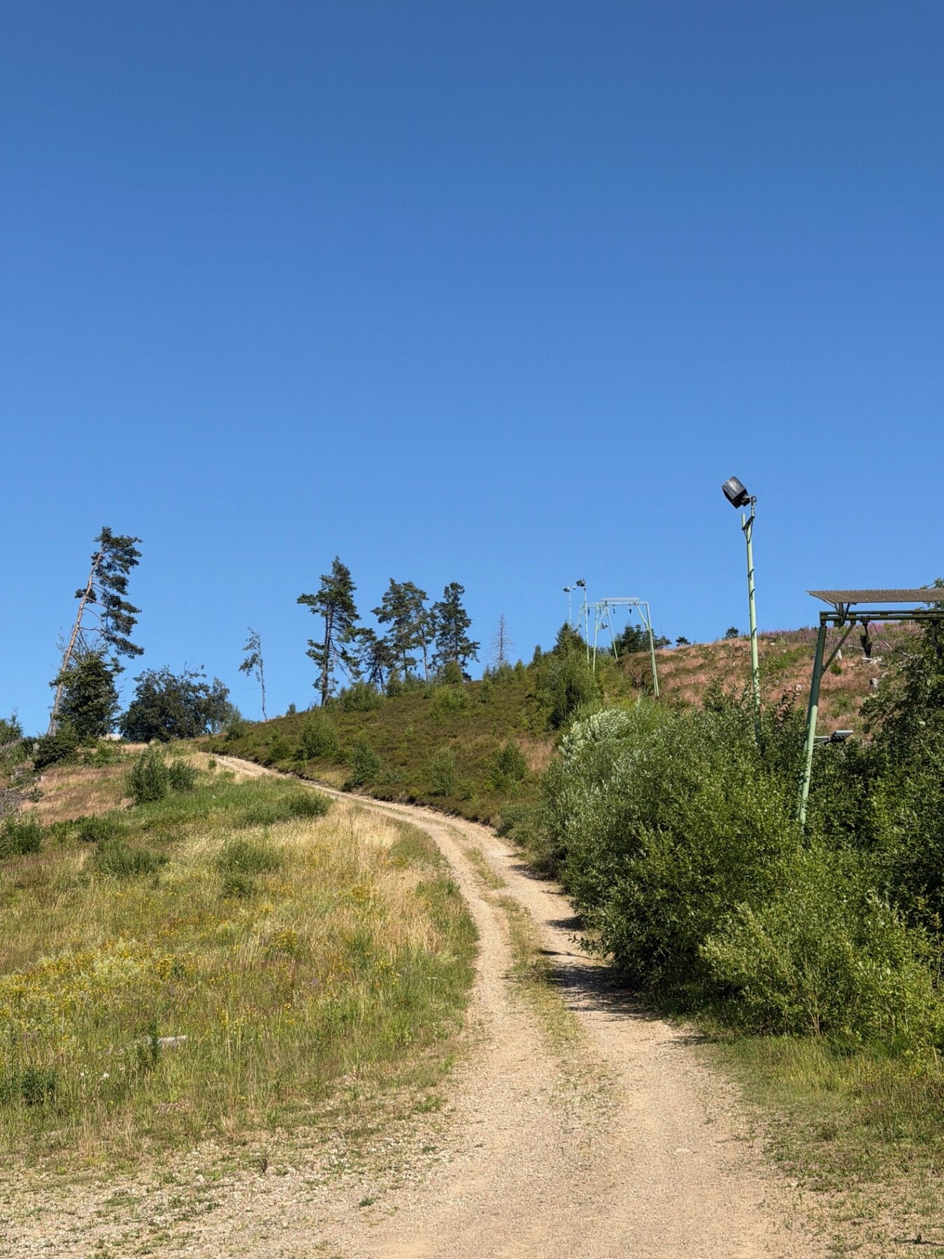 bc3b0296-7d62-4af0-944d-c07bc744ce4d.jpeg