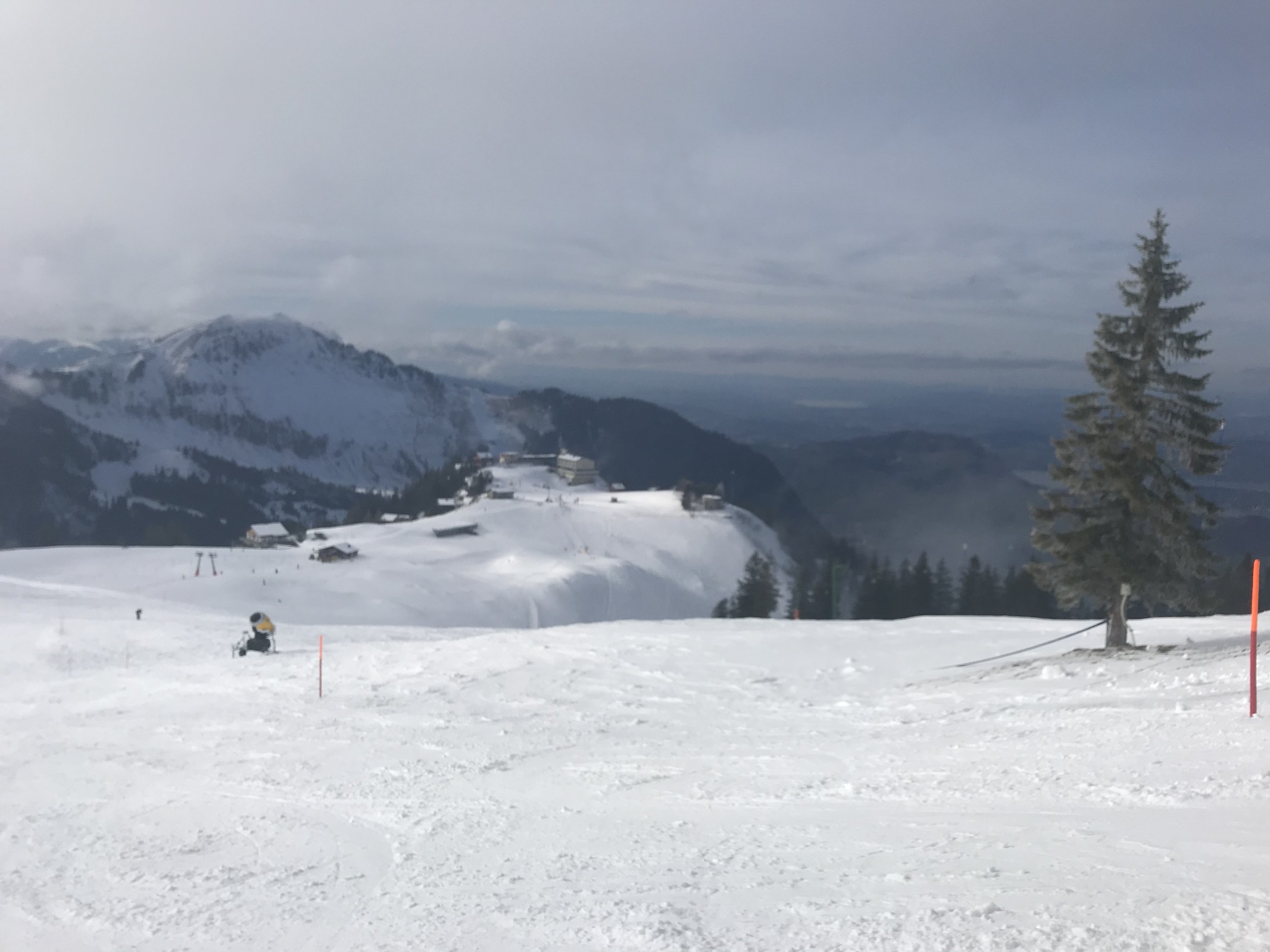 BC98E5C5-92E4-4C1D-8BC7-E15F96CDCEDB.jpeg